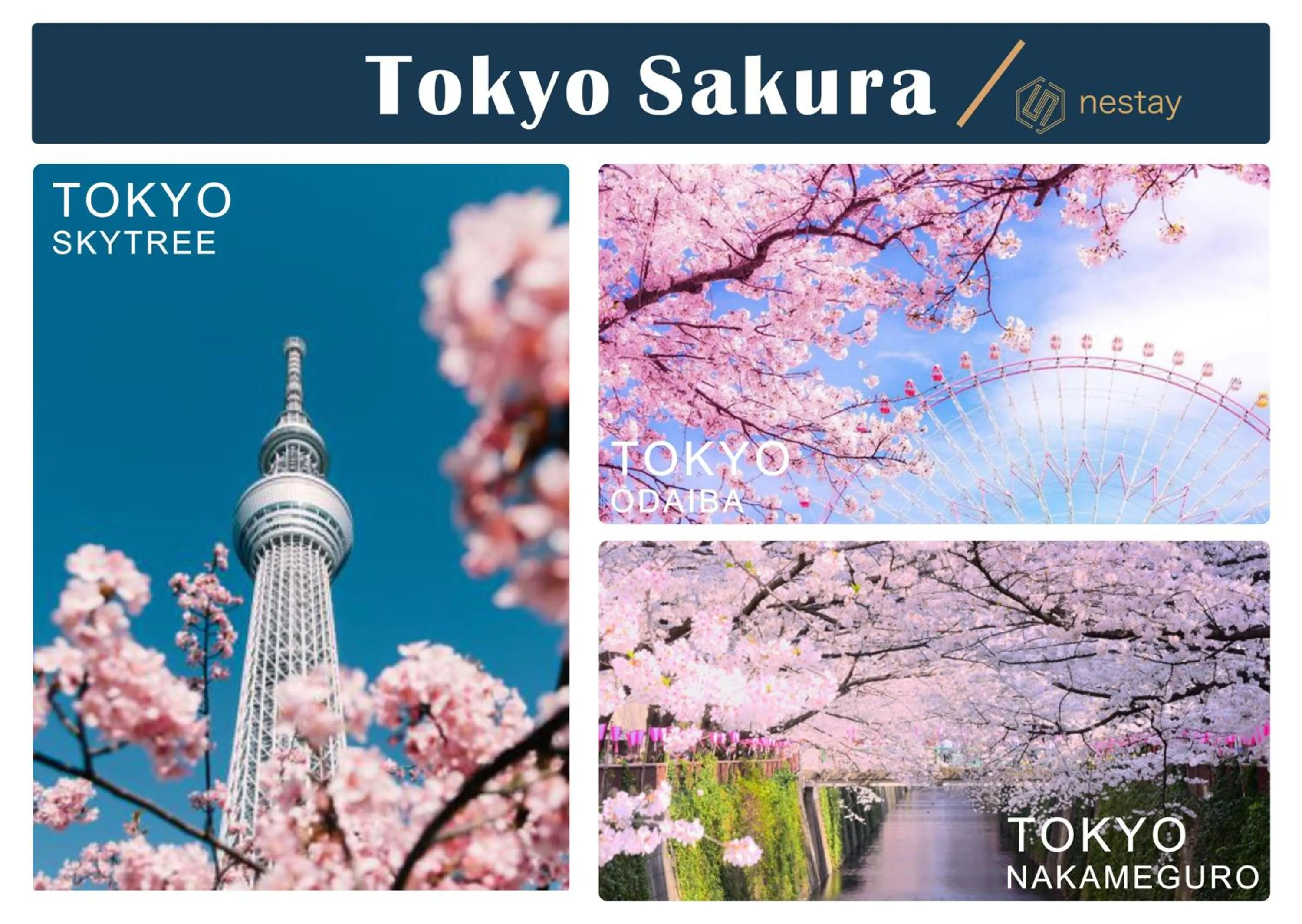 nestay villa tokyo otsuka