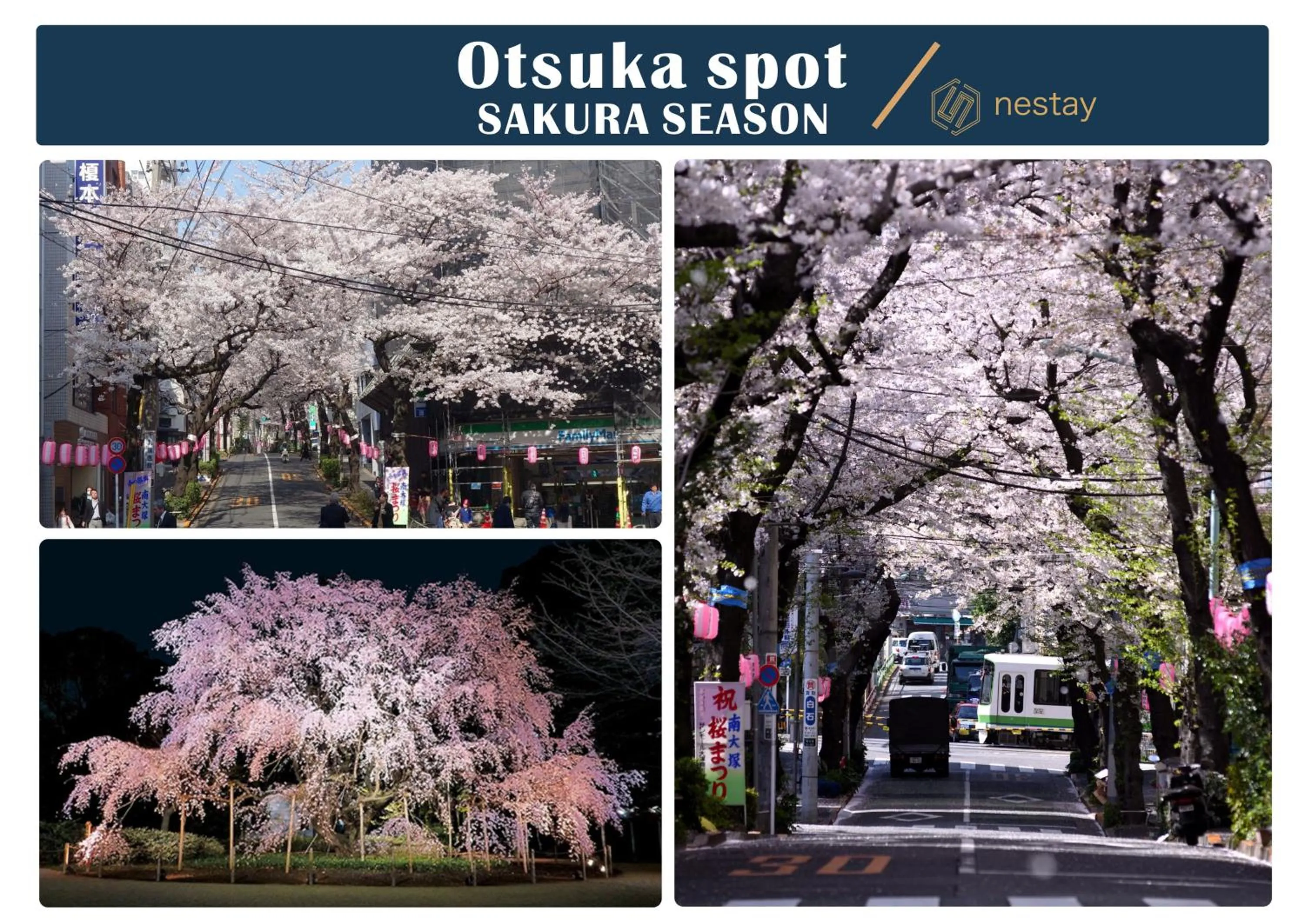 nestay villa tokyo otsuka