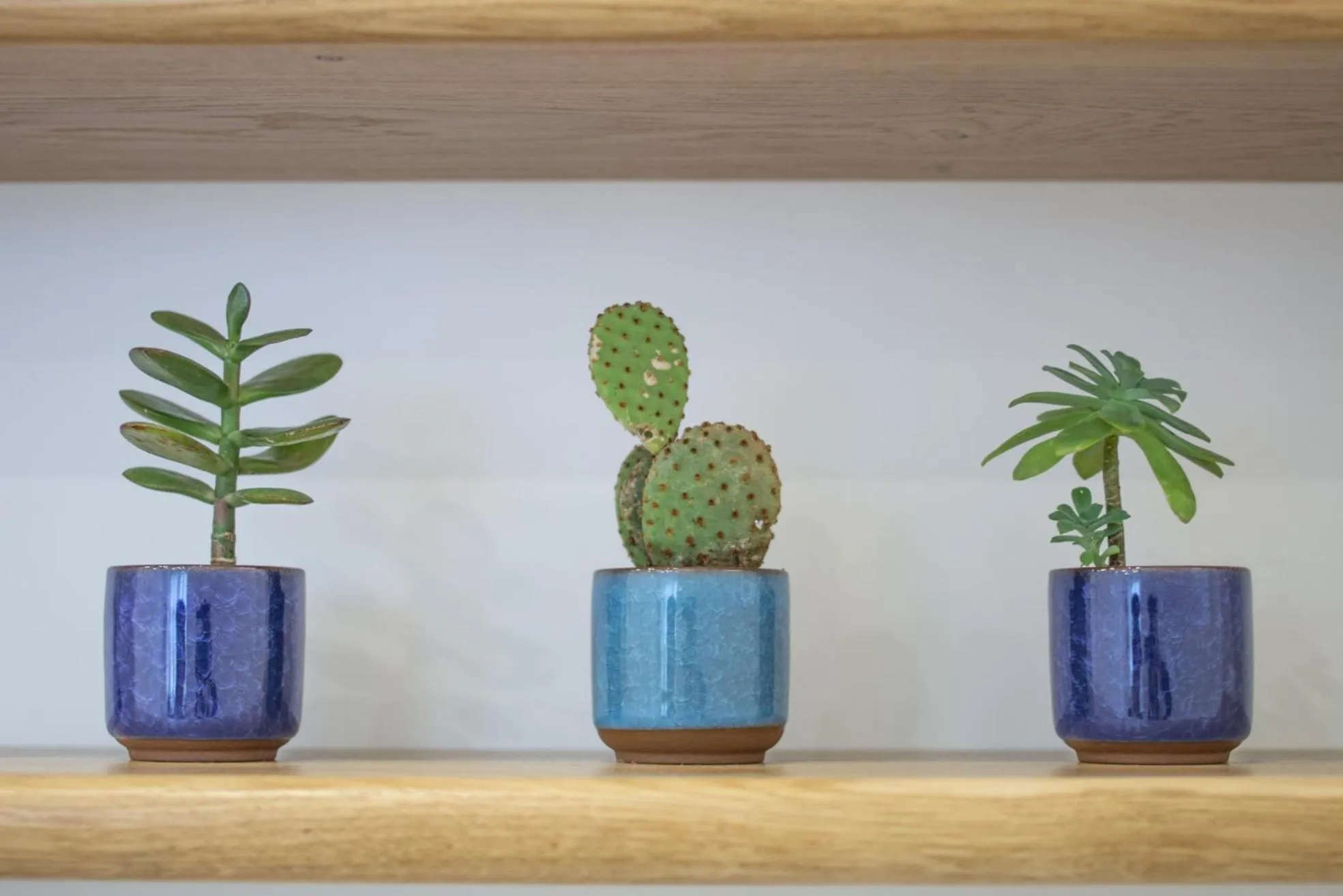 B&B Babbaluci - Centro Storico