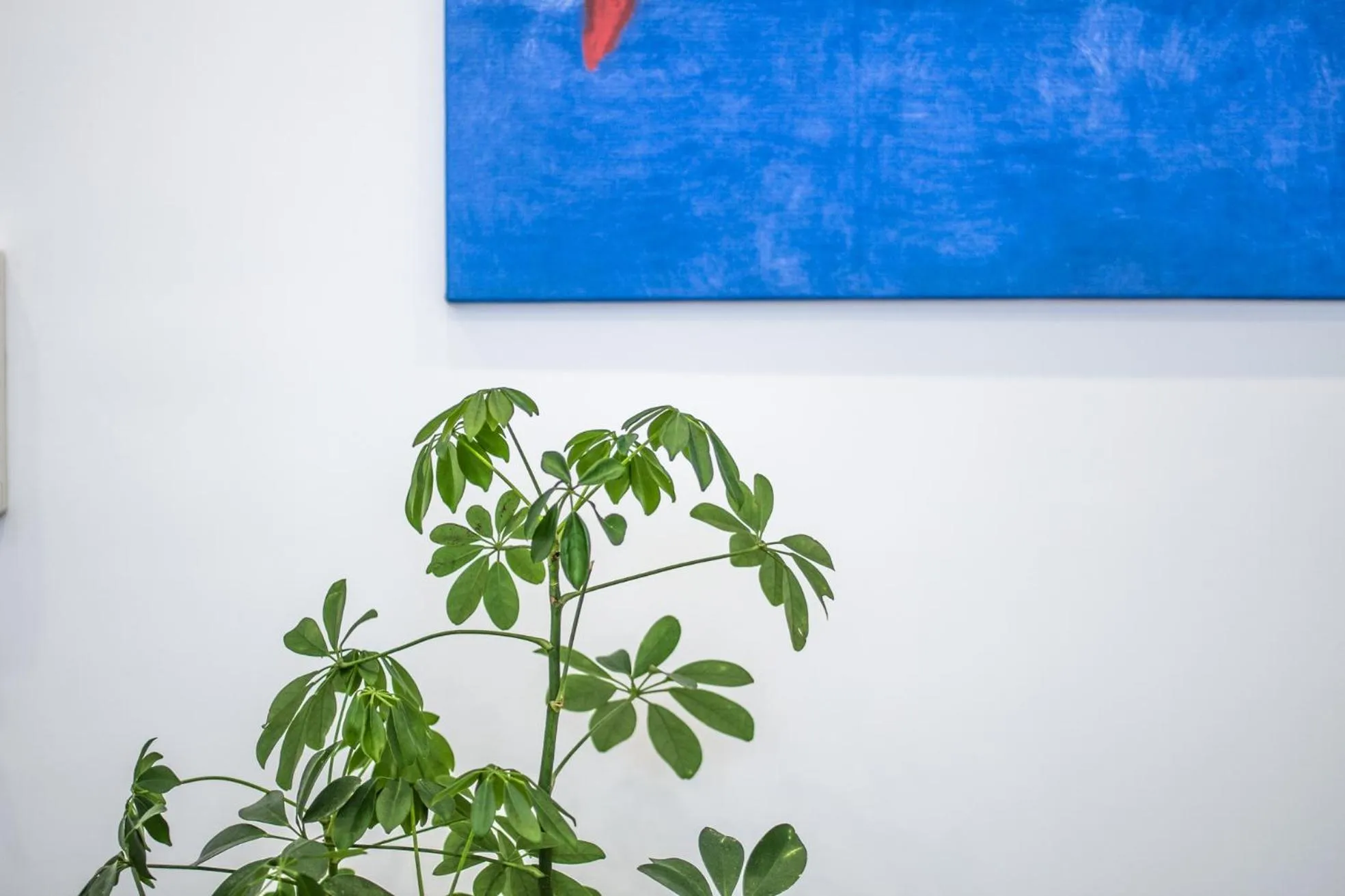 B&B Babbaluci - Centro Storico