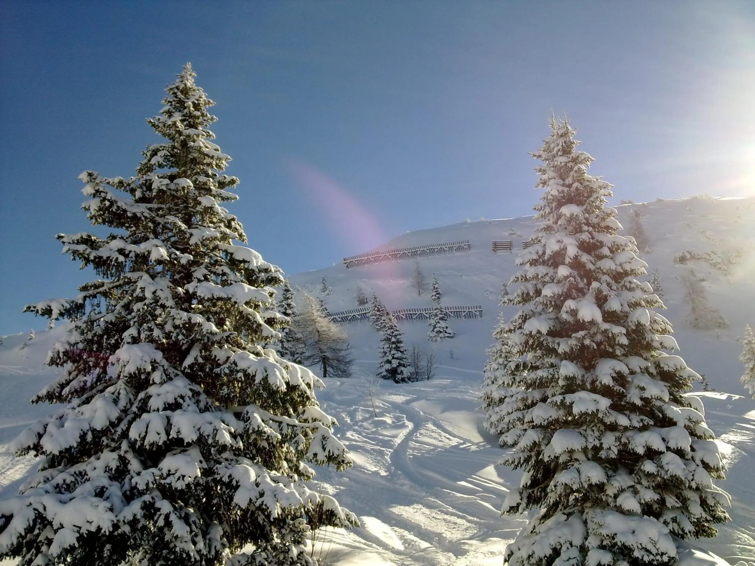 Winter in Hotel Regent's