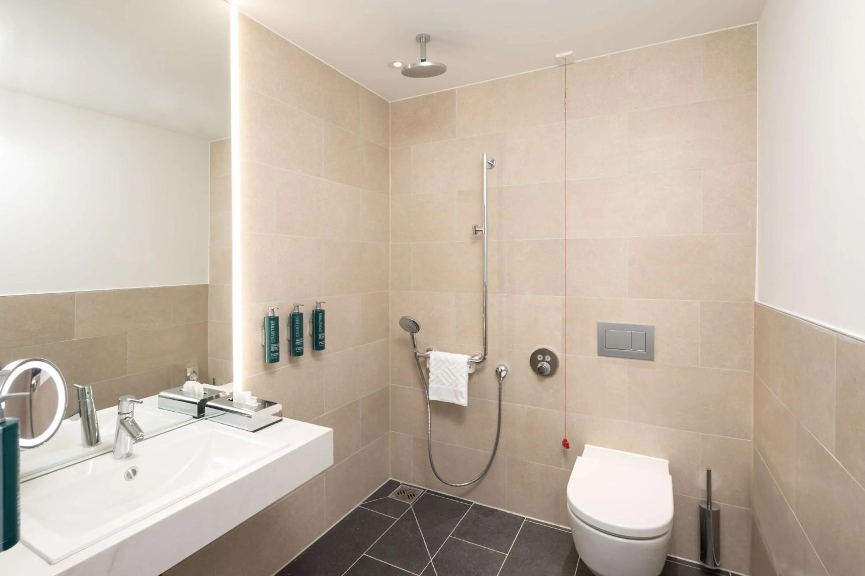 Bathroom in Crowne Plaza Heidelberg City Centre