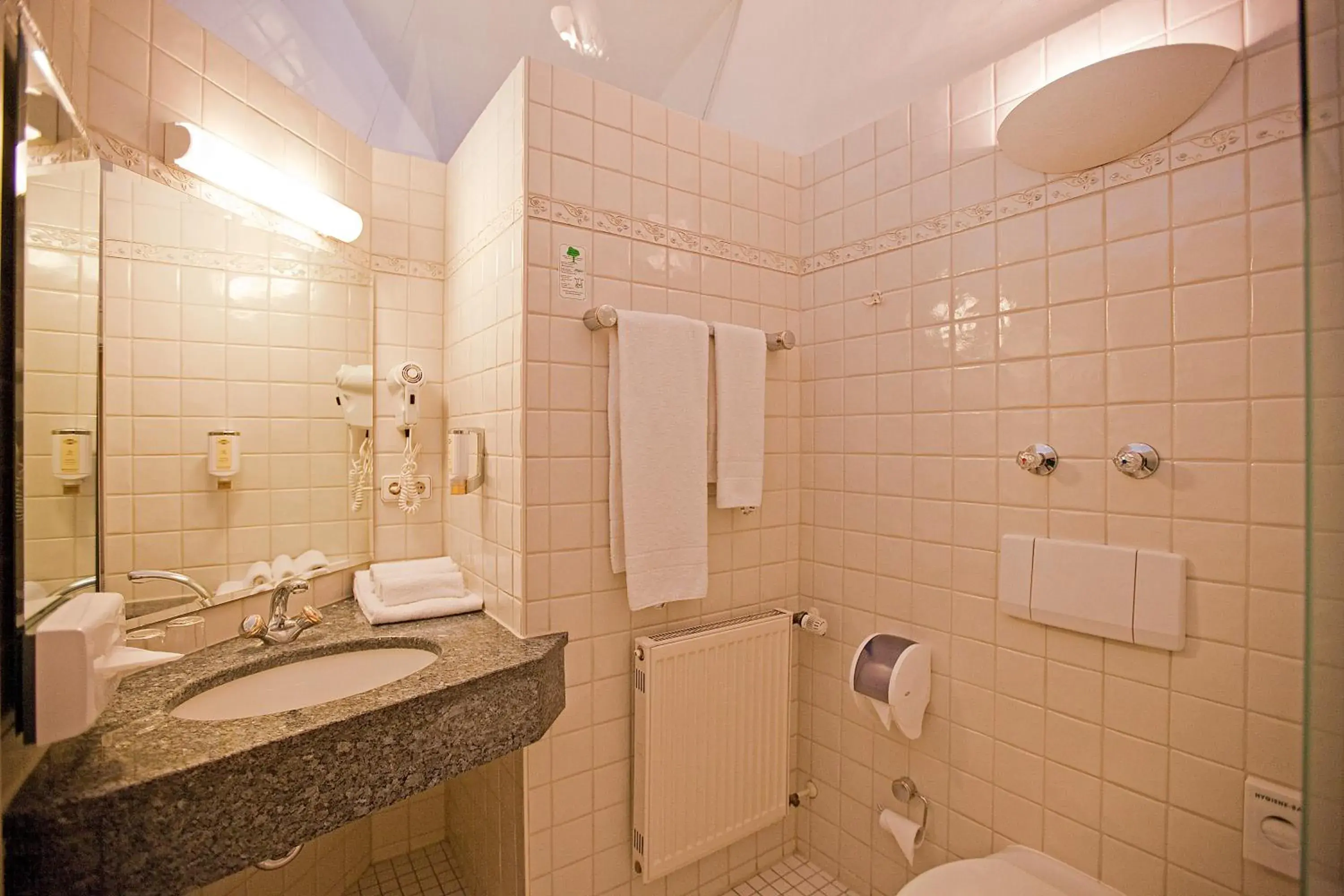 Single Room in Hotel Alter Wirt Single Room in Hotel Alter Wirt