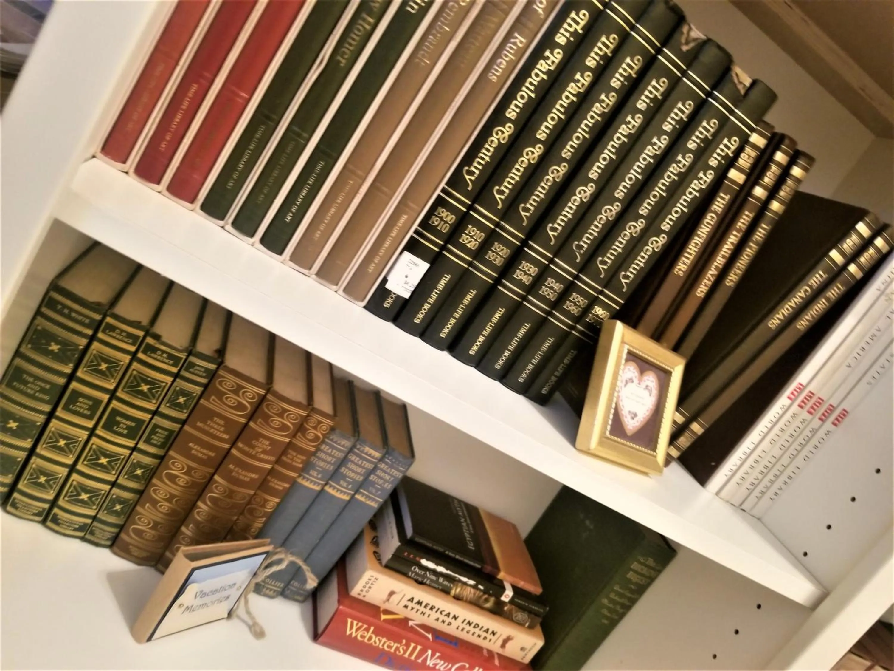 Library in Peak Valley Manor, a Modern Farmhouse