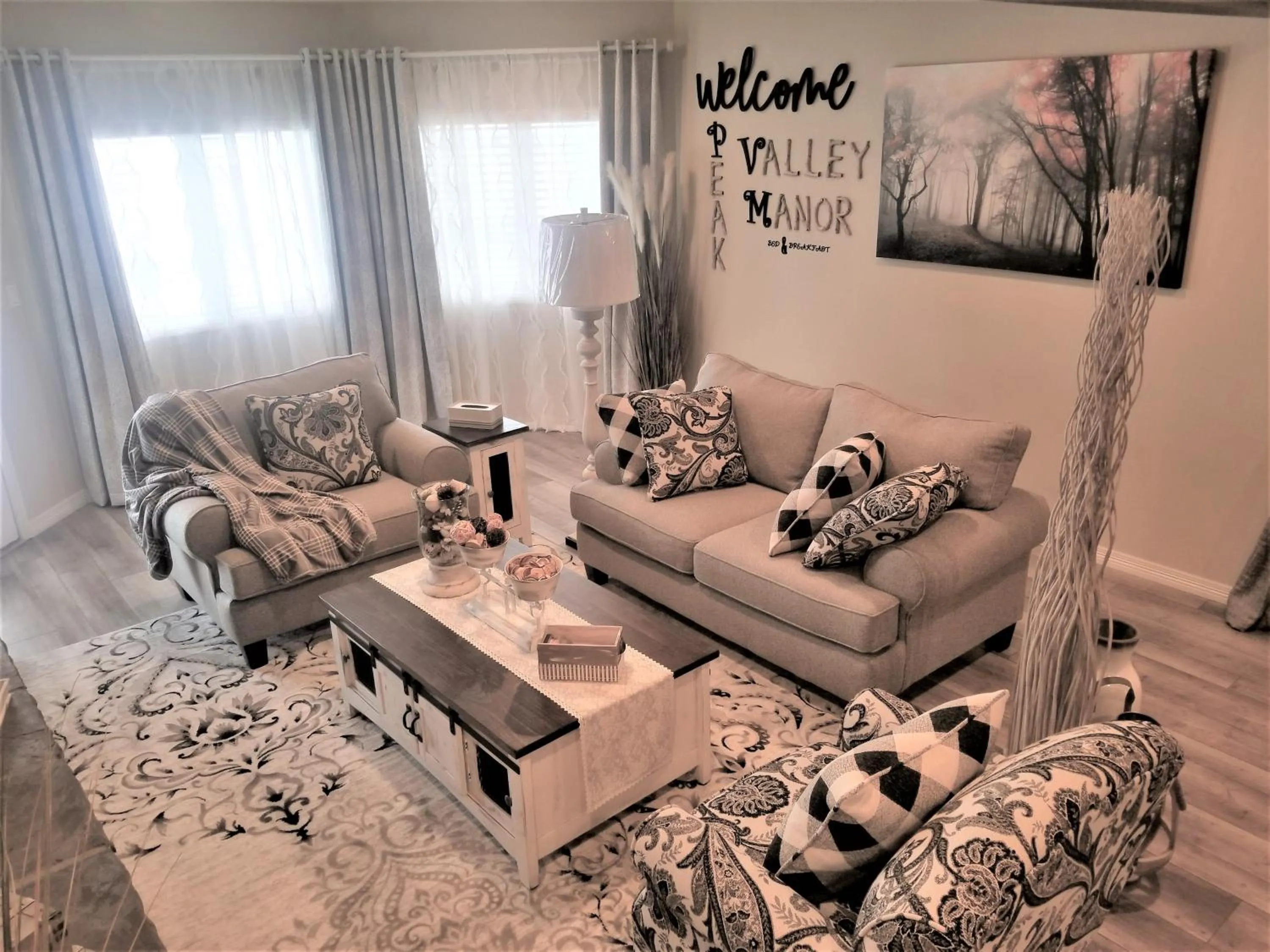 Living room in Peak Valley Manor, a Modern Farmhouse