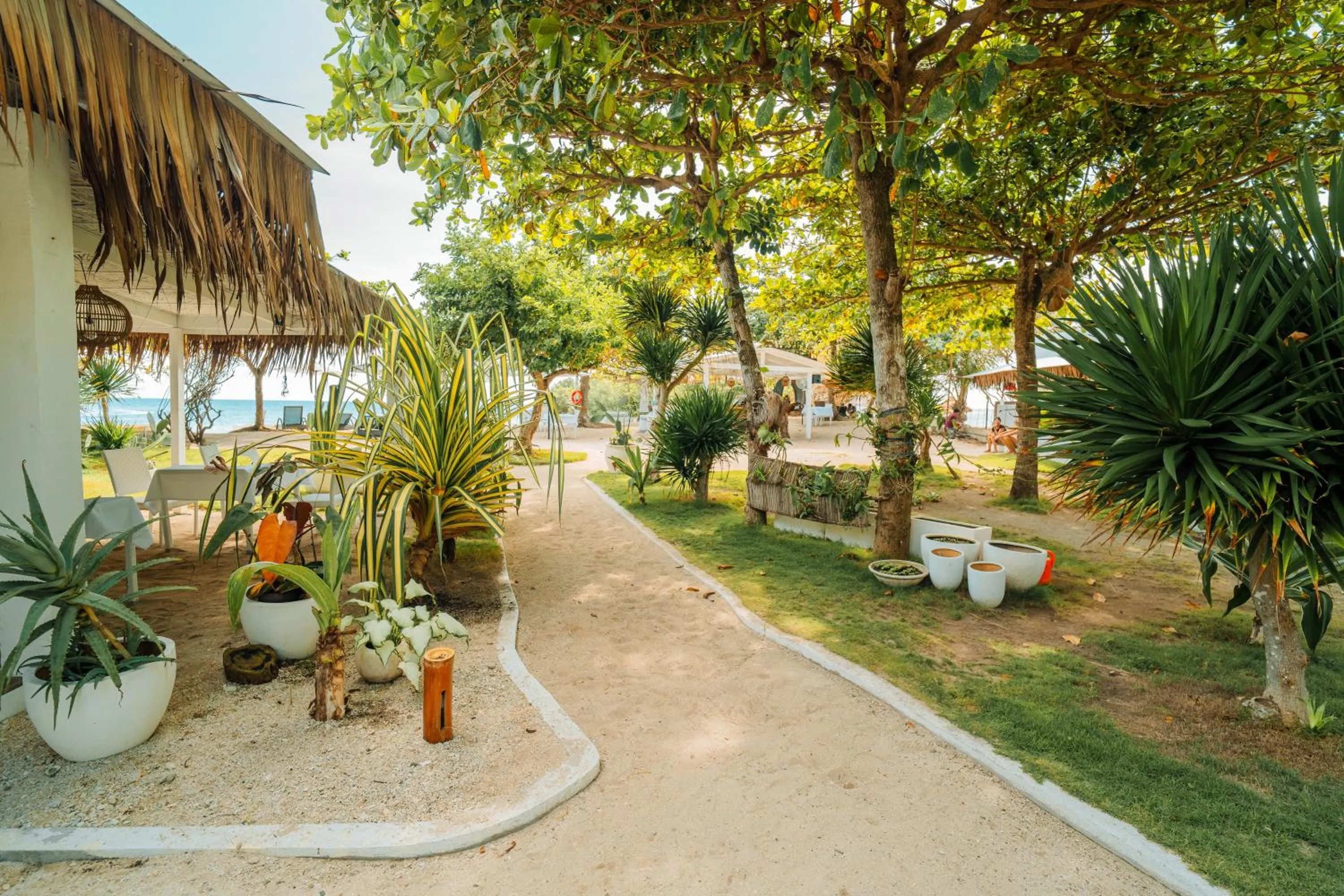 Garden in Blanco Beach Resort Malapascua