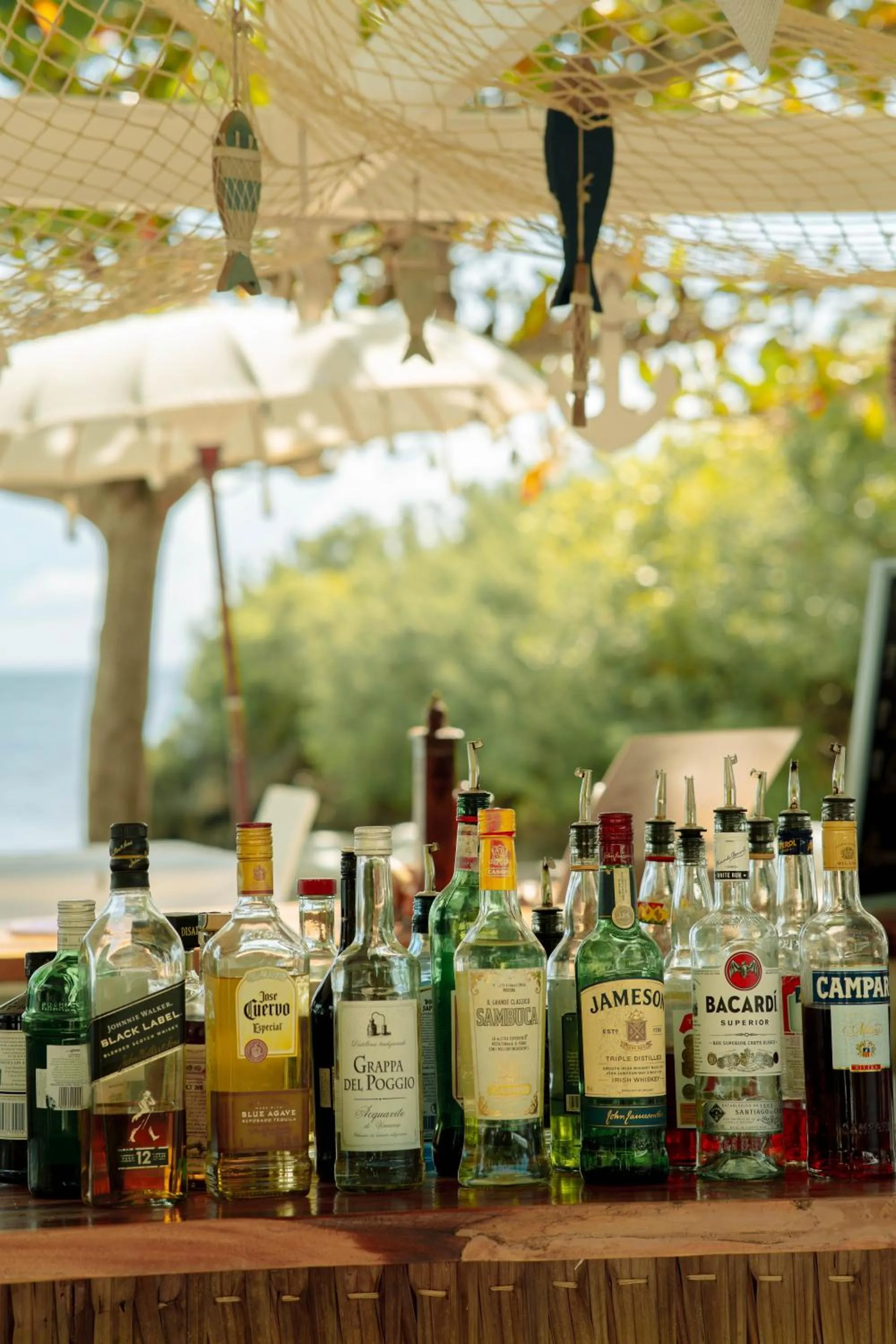 Lounge or bar in Blanco Beach Resort Malapascua