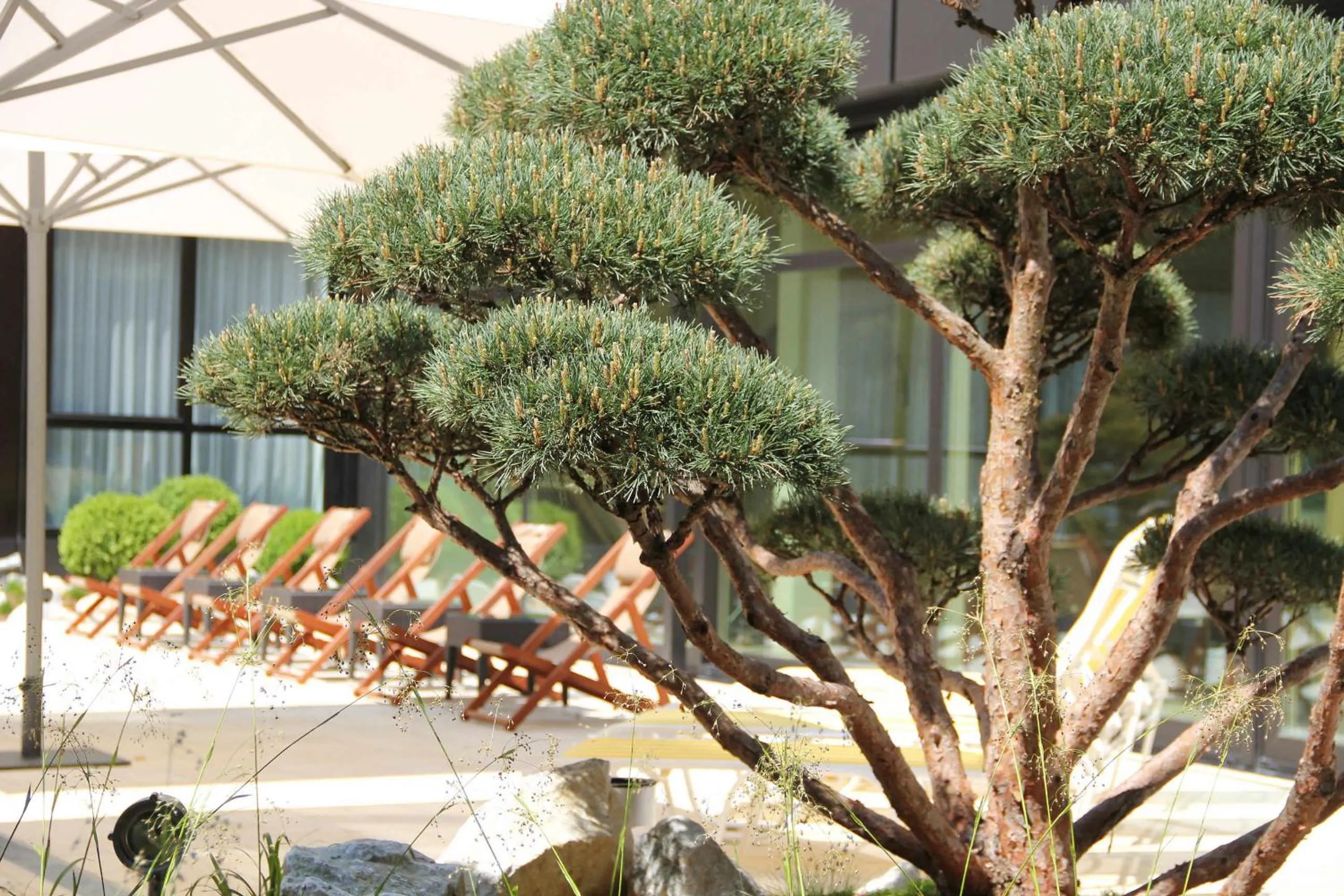 Garden in Ramada Nürnberg Parkhotel