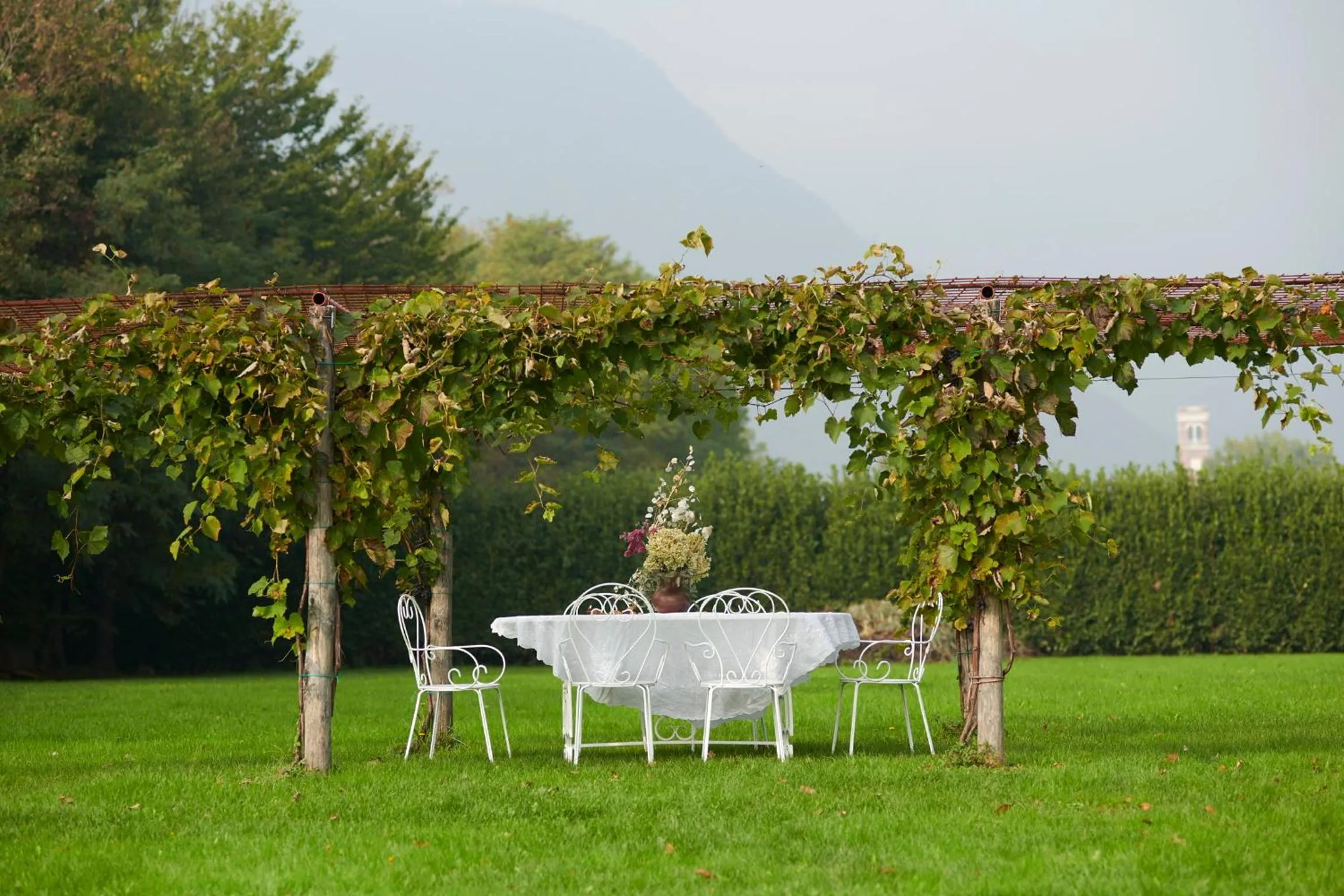 Garden view in Villa Stecchini