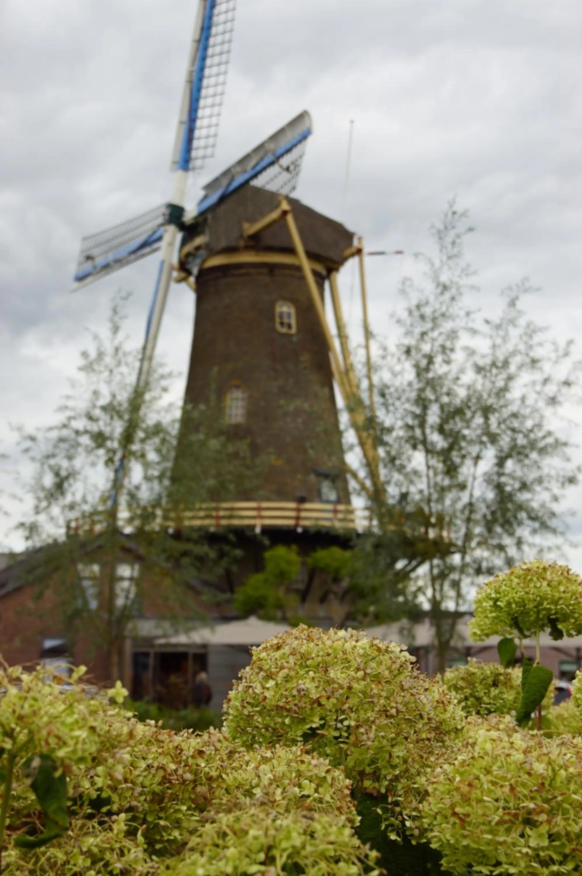 Vertoeven bij Verhoeven