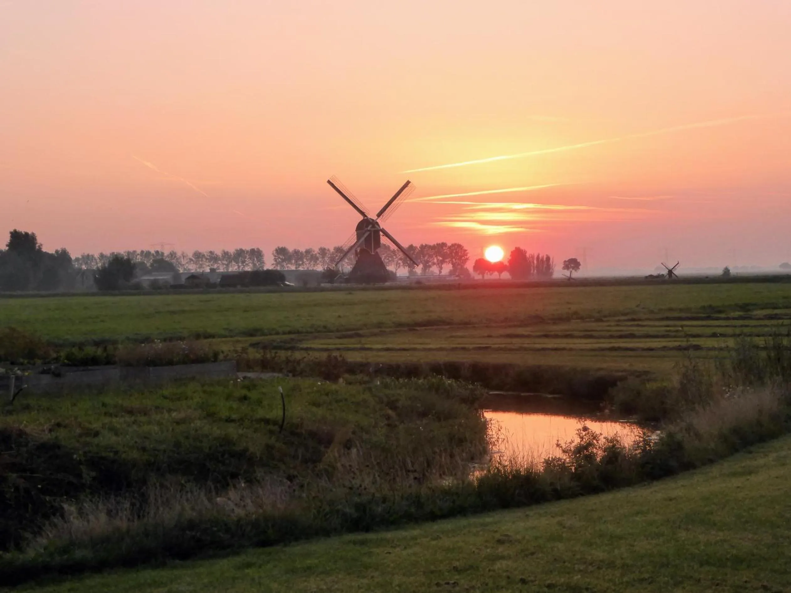 Vertoeven bij Verhoeven