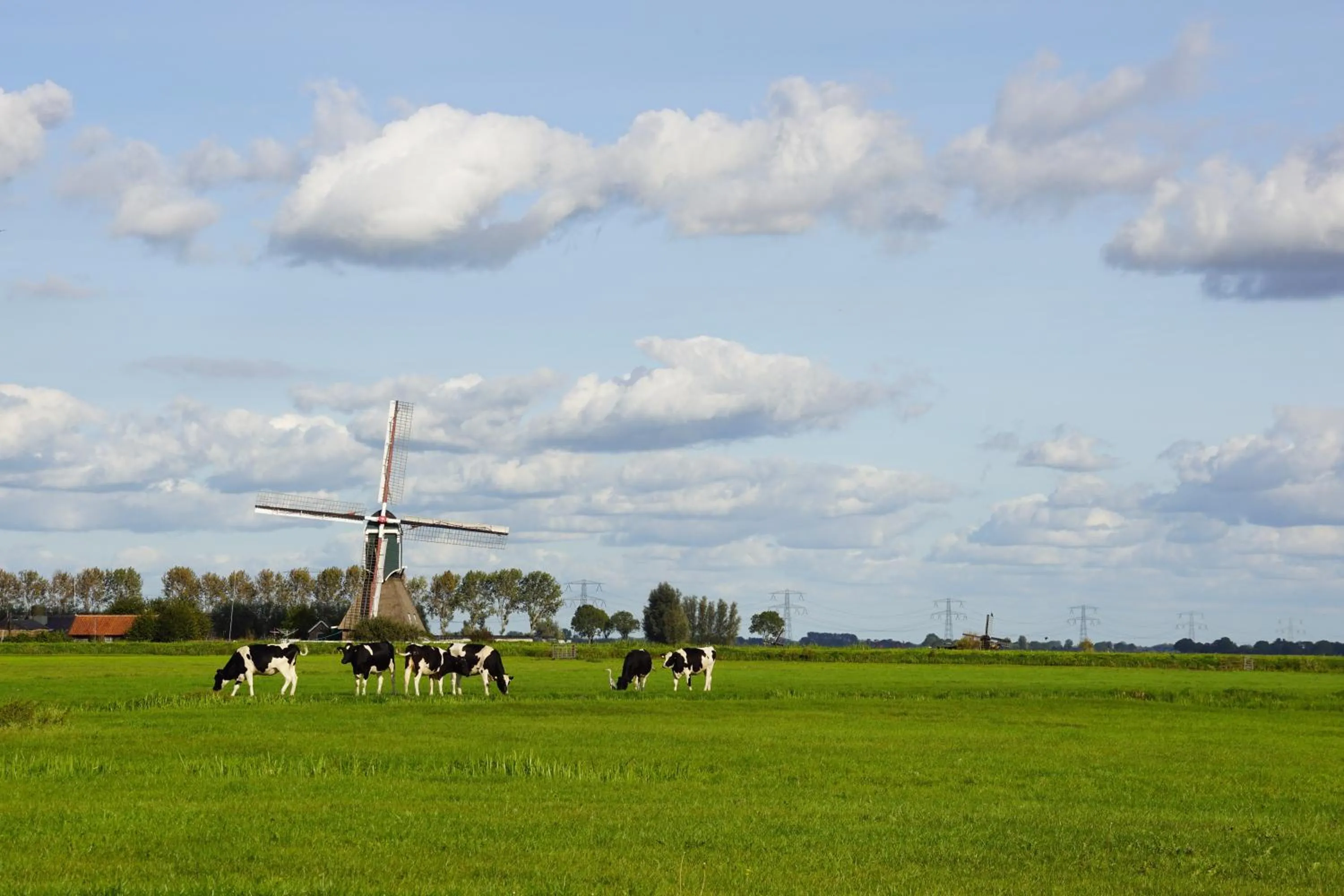 Vertoeven bij Verhoeven