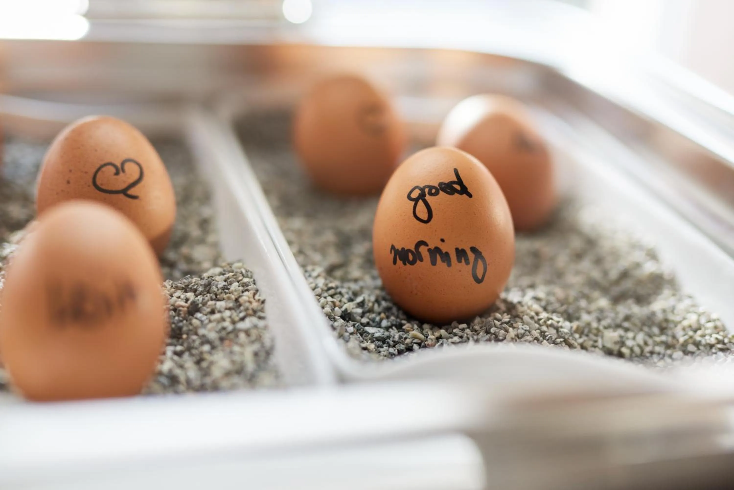 Breakfast in Hotel Central Hamburg
