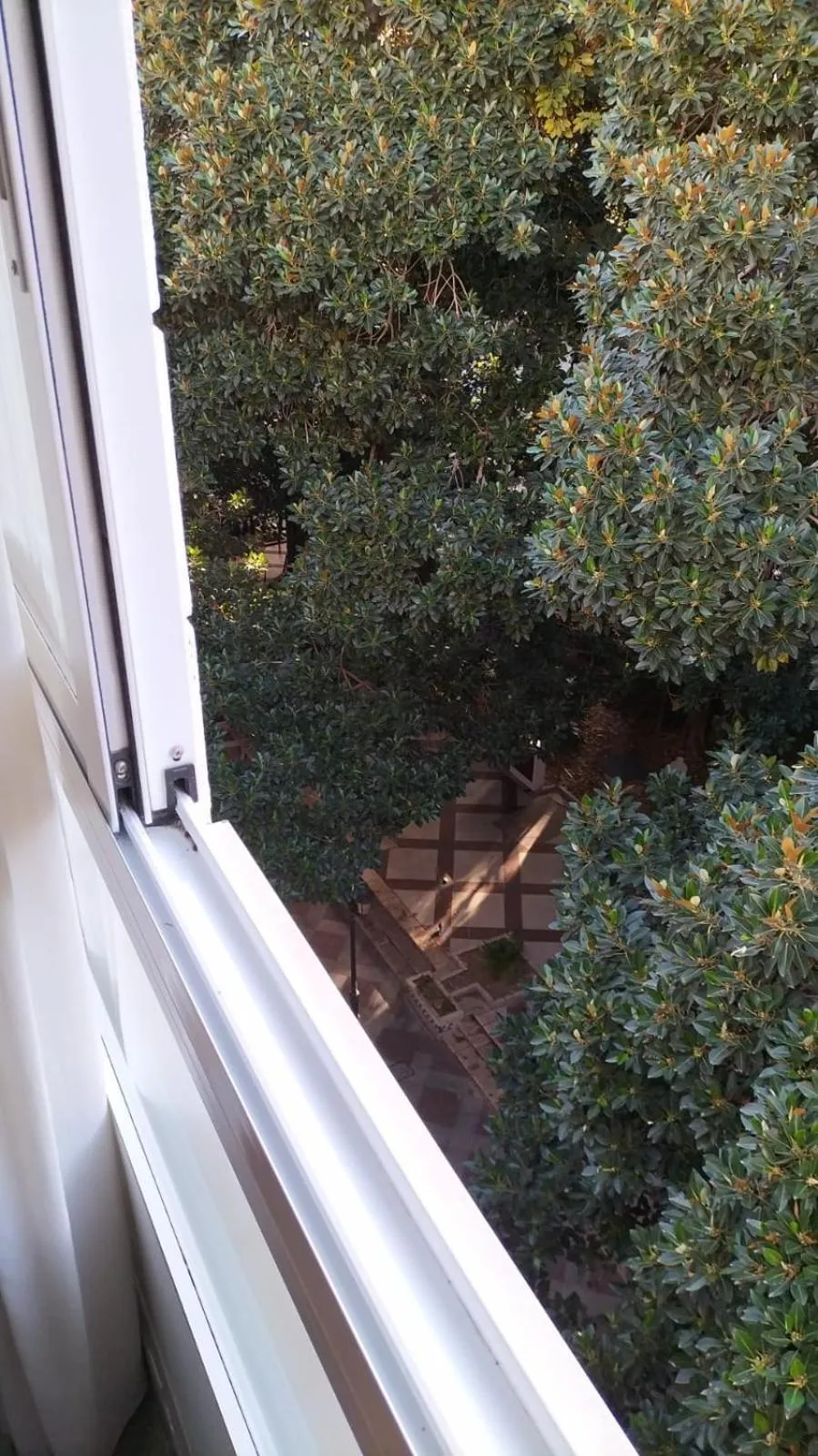 View (from property/room) in Reina Victoria Prado Sastre