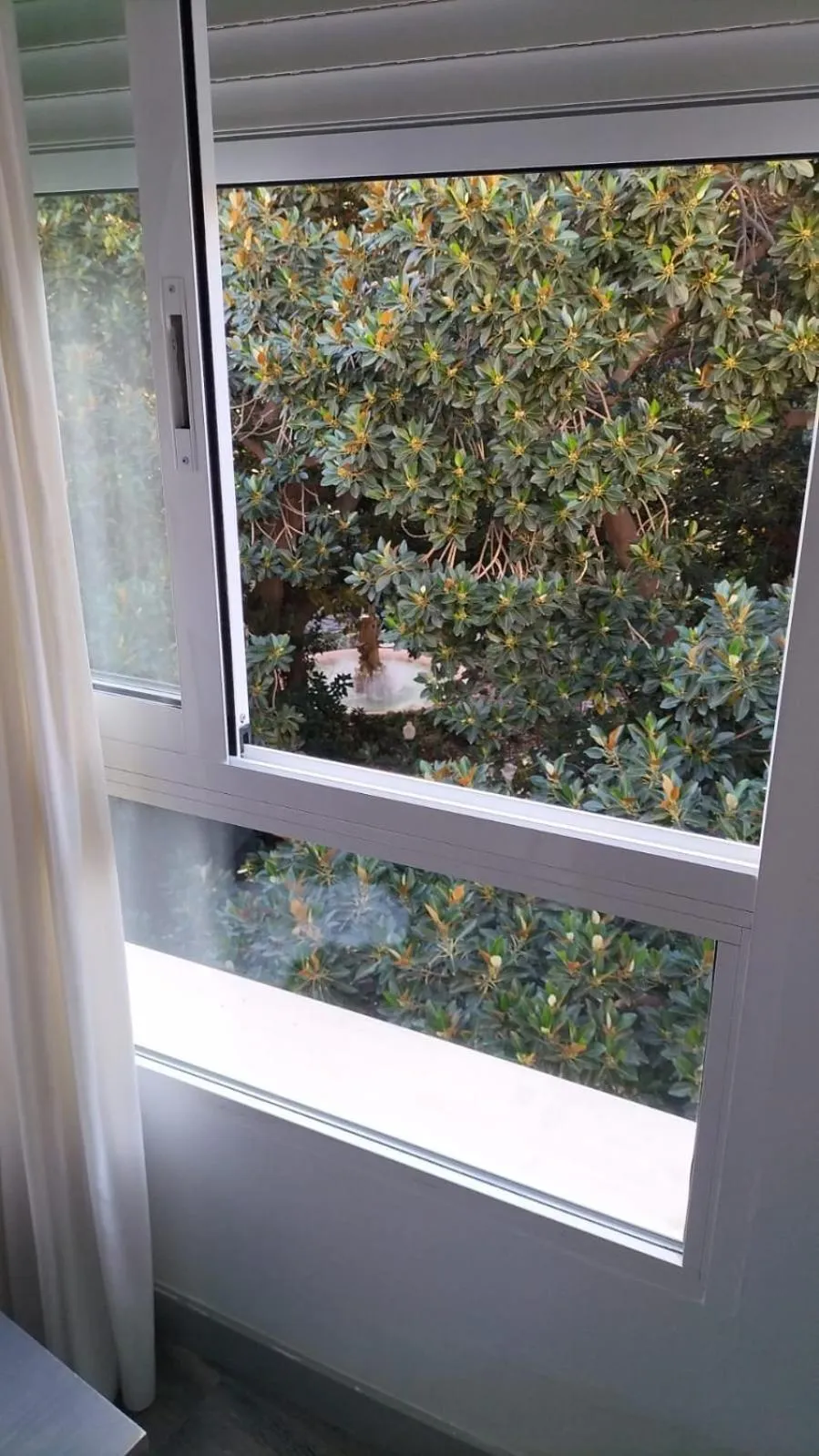 View (from property/room) in Reina Victoria Prado Sastre