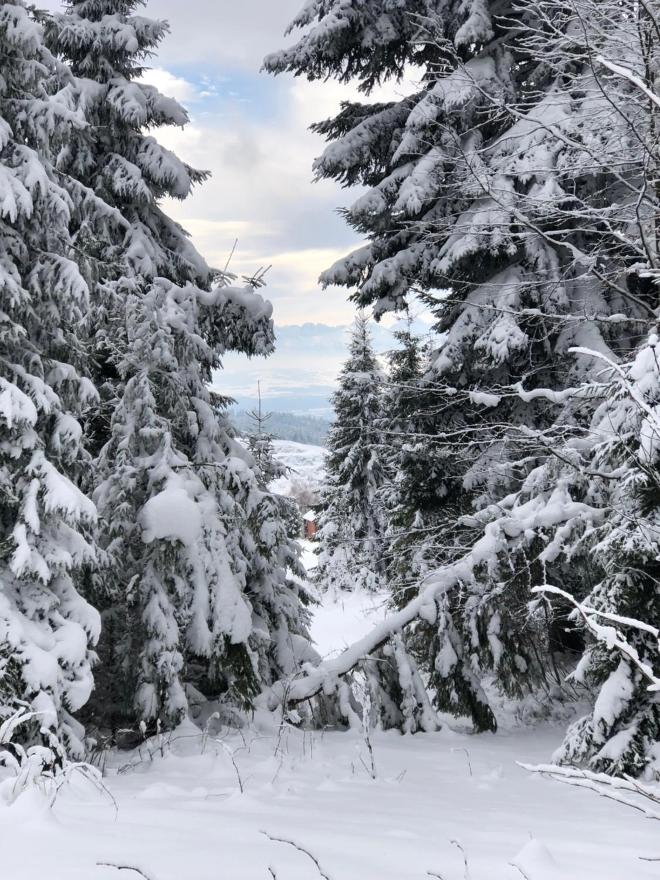 Hotel Restauracja U Guta