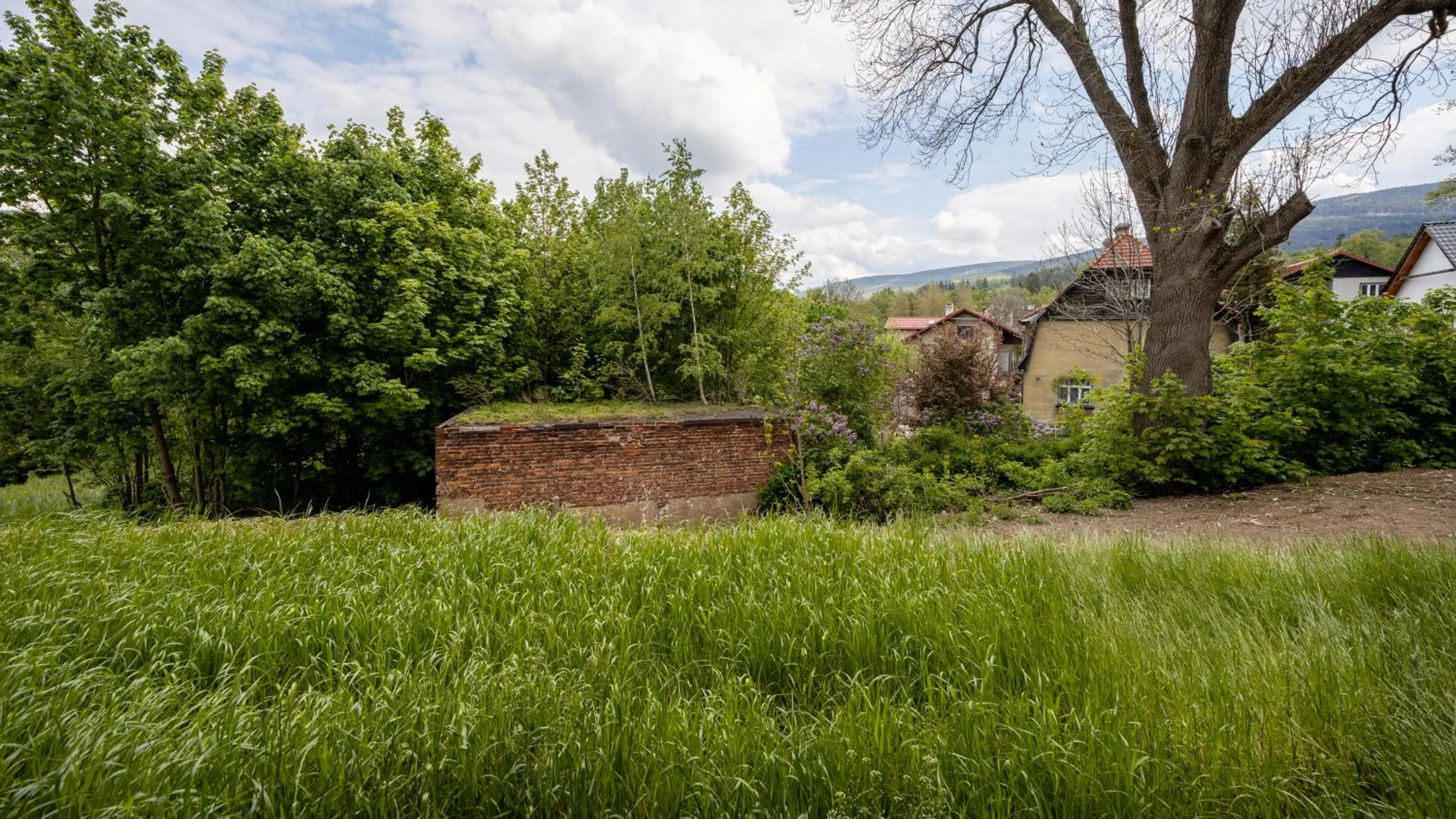 View (from property/room) in Holiday Mountain Residence, Sun & Snow
