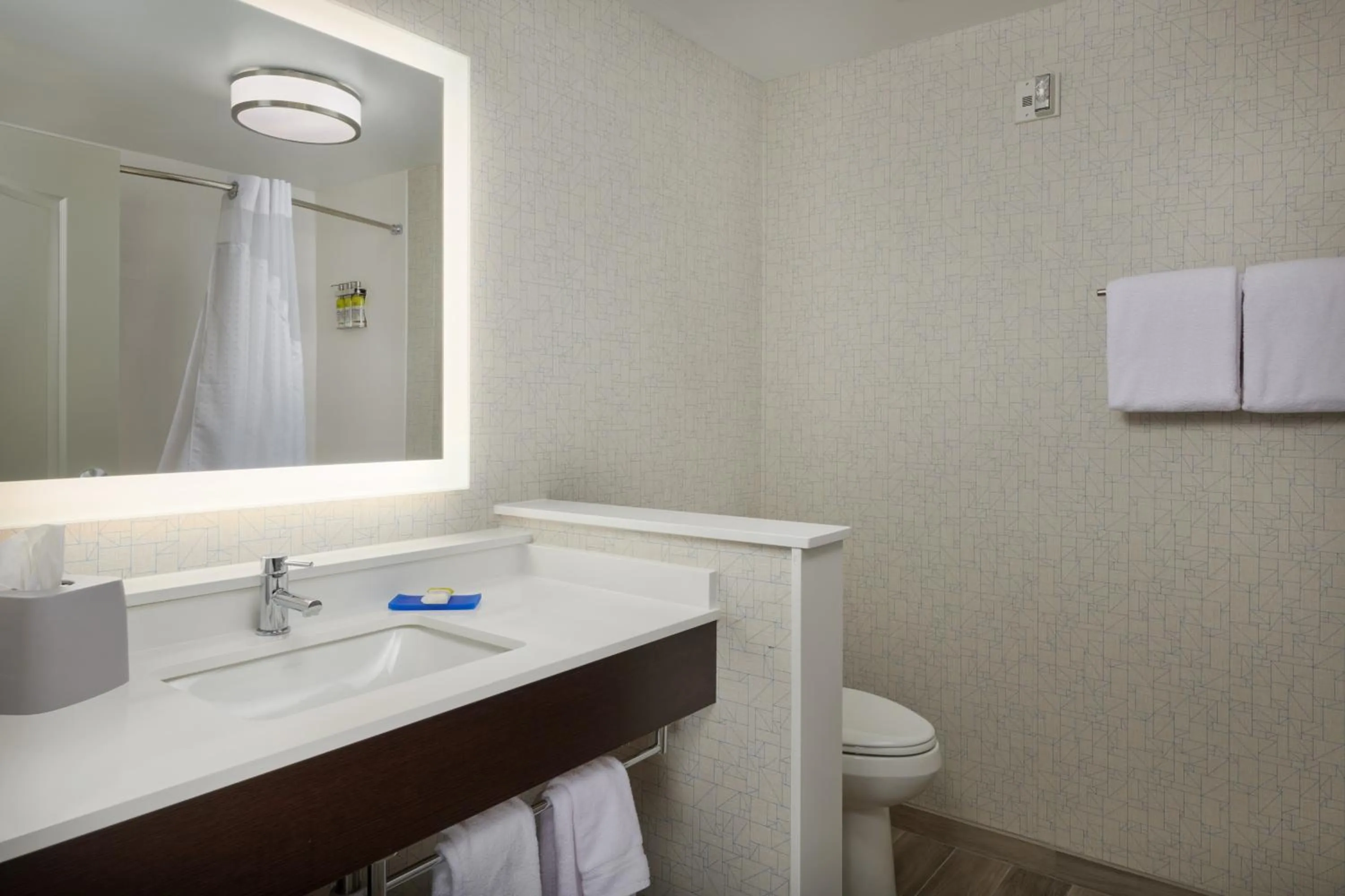 Bathroom in Holiday Inn Express Amherst - Lockport by IHG