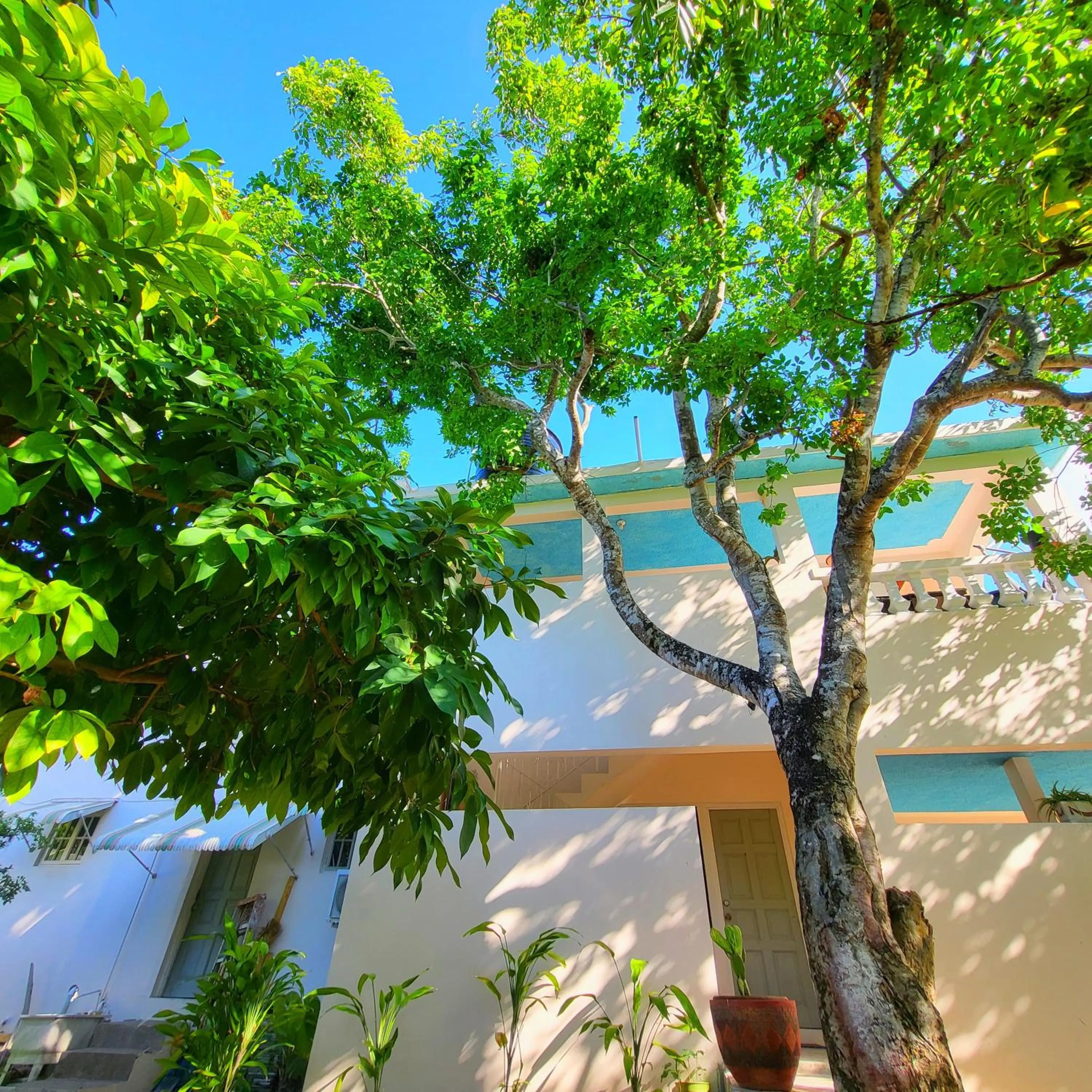 Property building in Green's Palace Jamaica