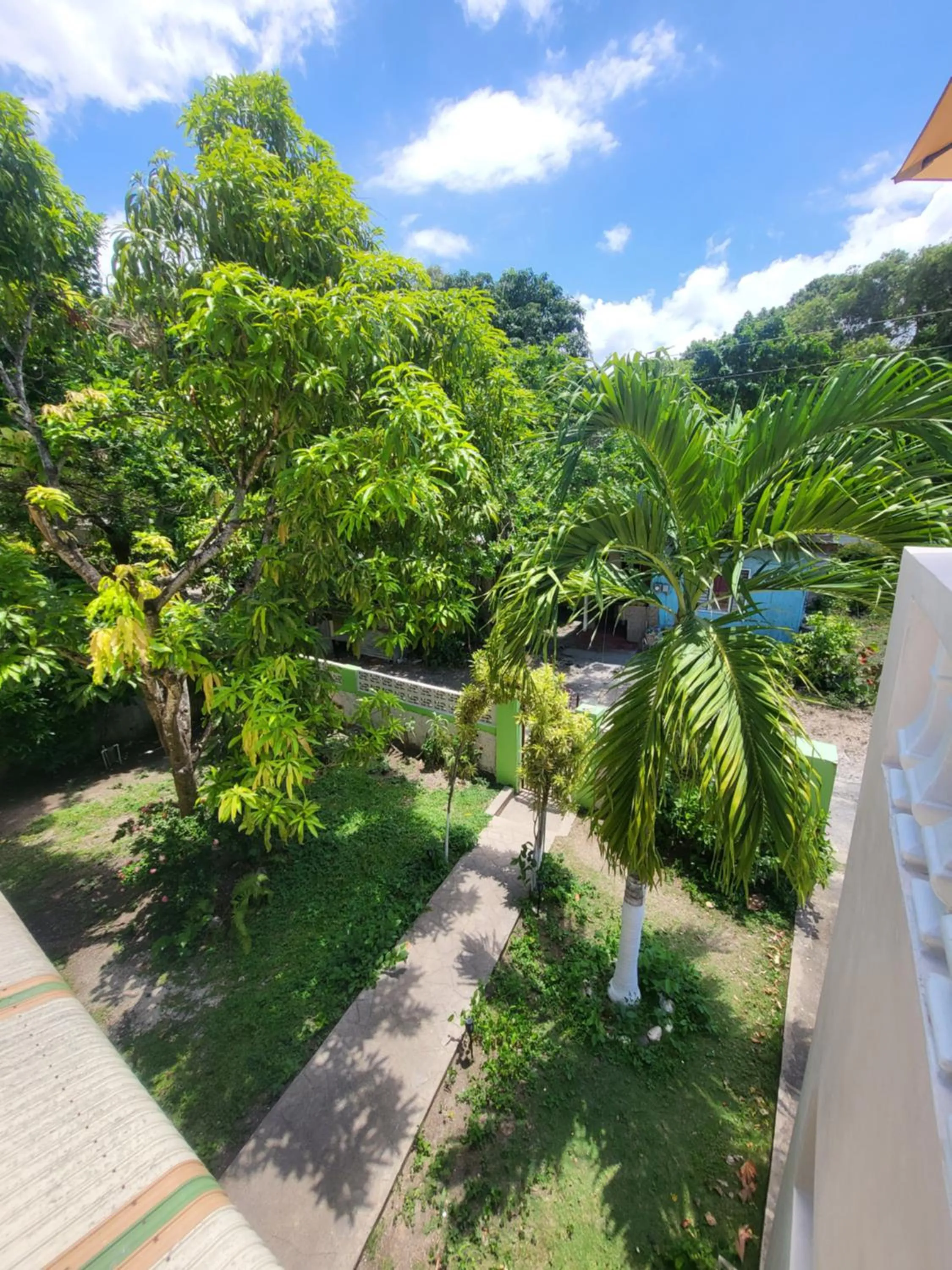 View (from property/room) in Green's Palace Jamaica