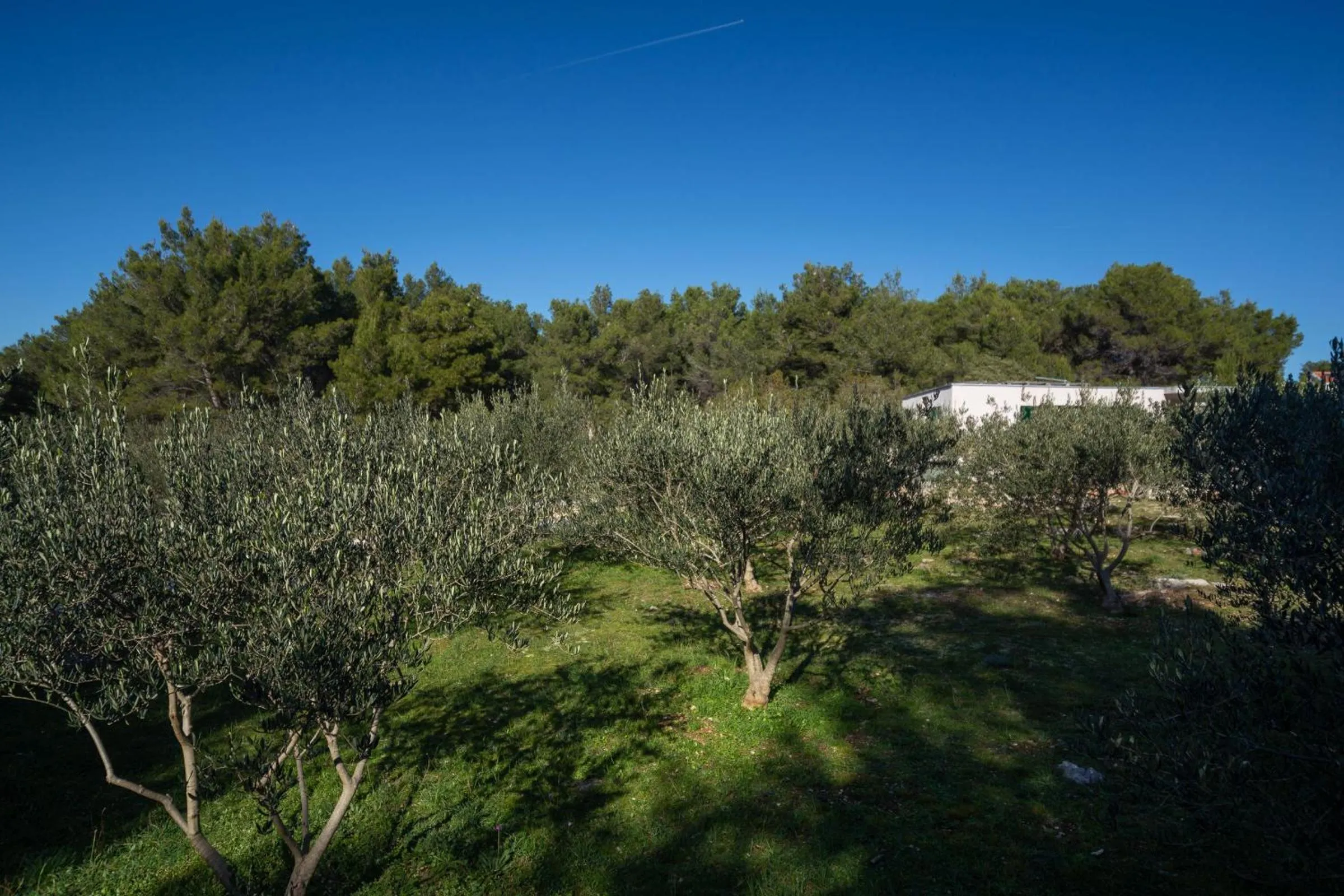Patio in Olive Eden Holiday Home