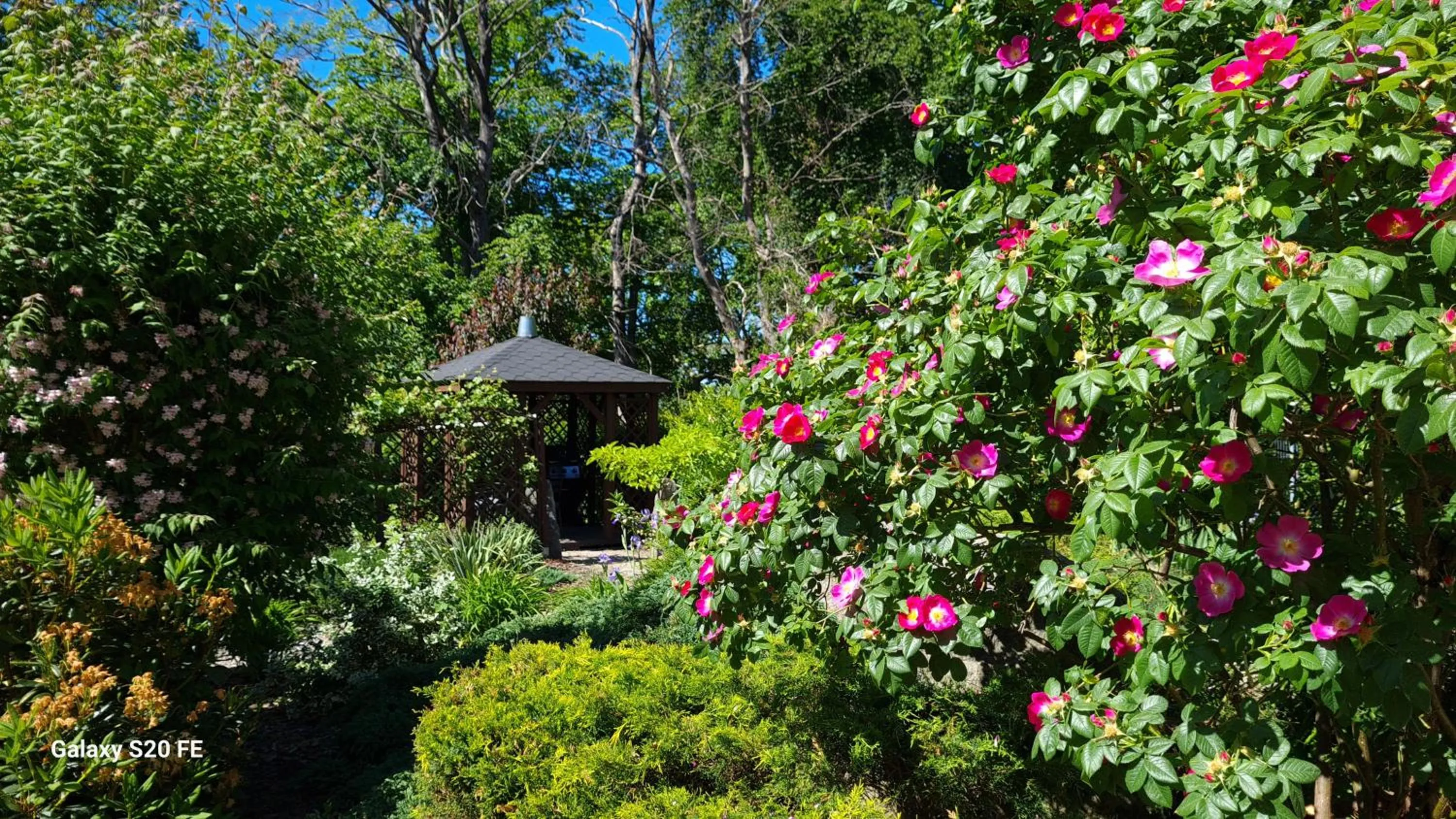 Dom Na Bukowym Wzgórzu