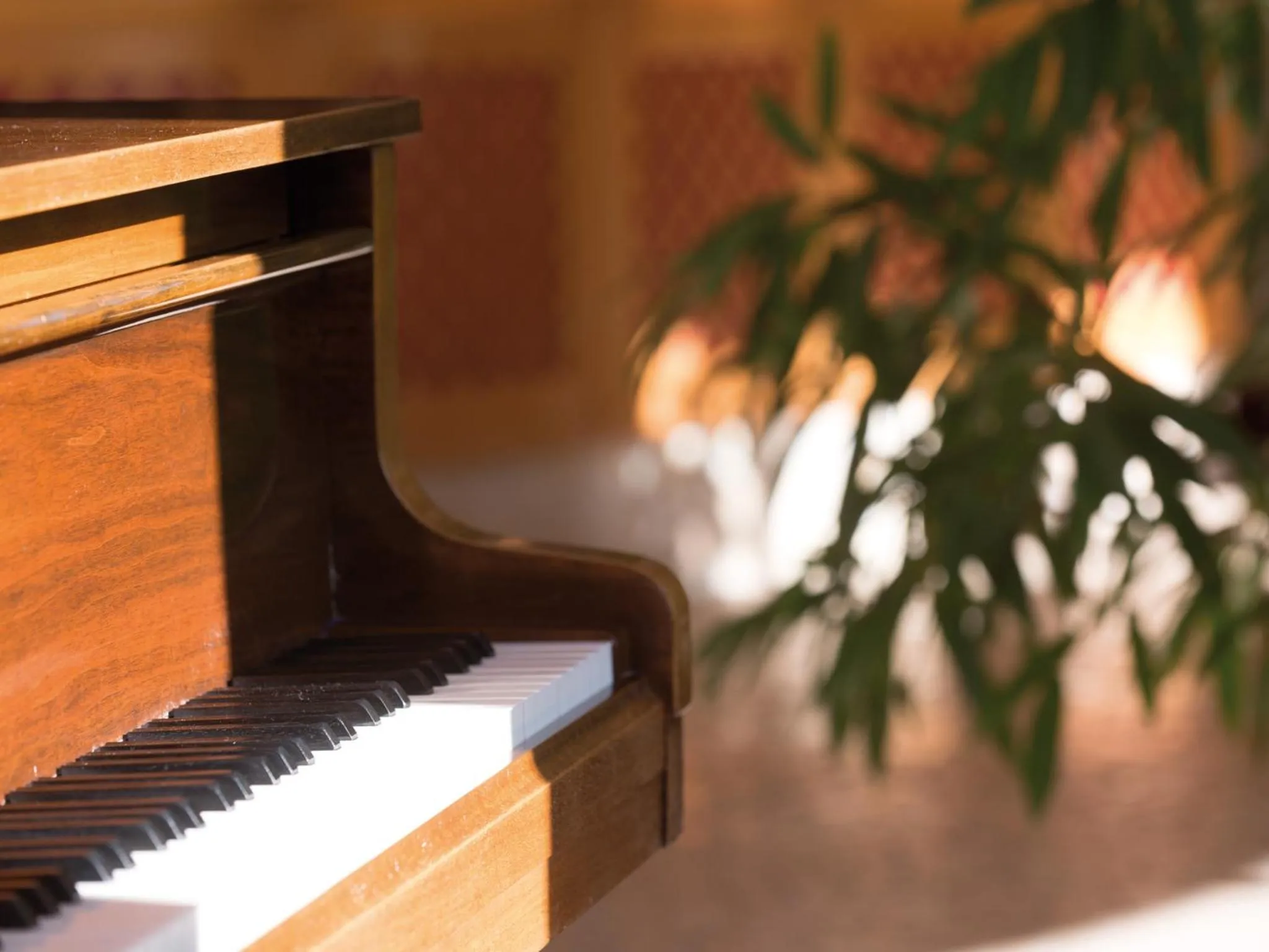 Nightclub / DJ in aja Nordperd & Villen Göhren