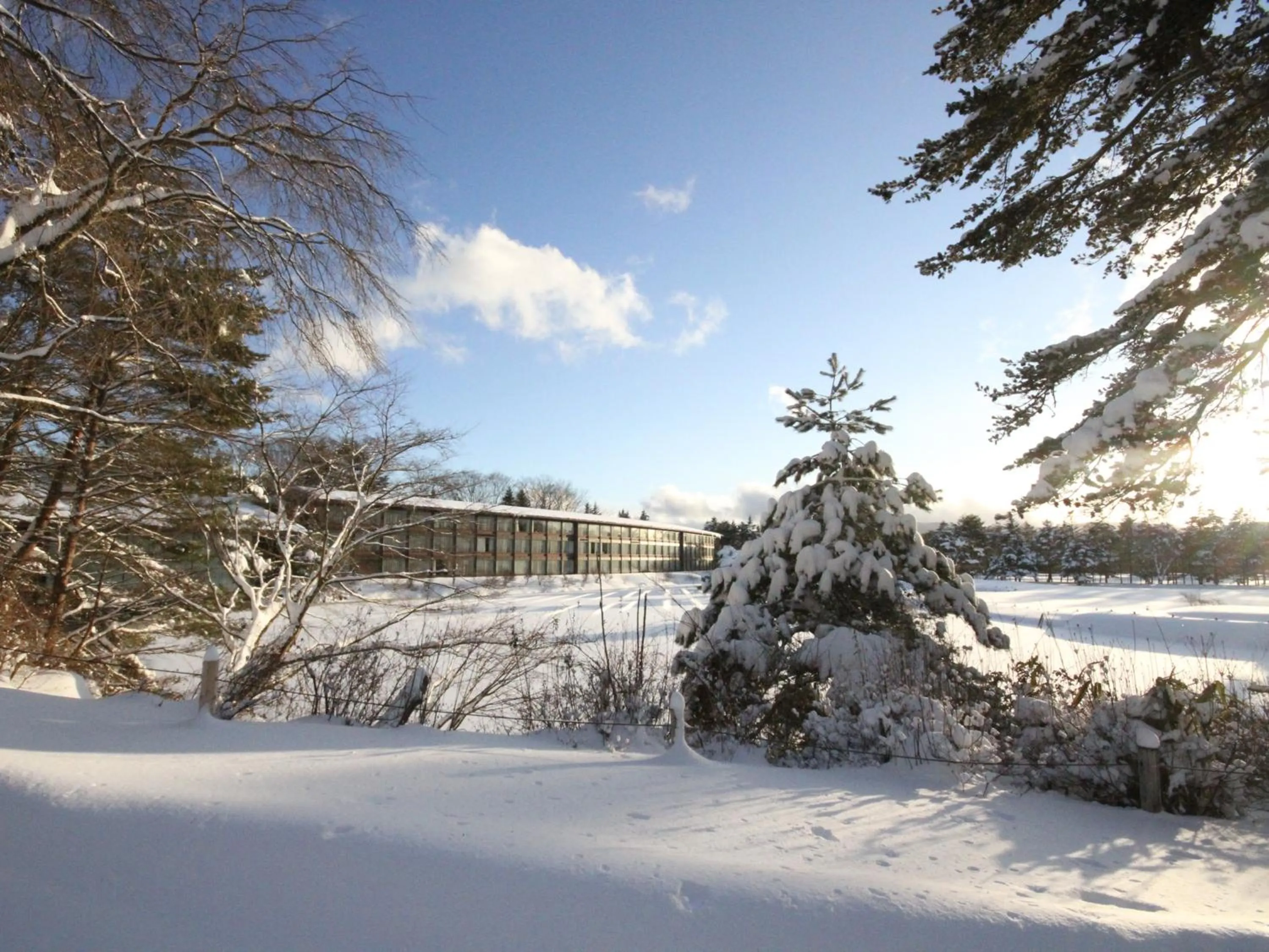 The Prince Karuizawa