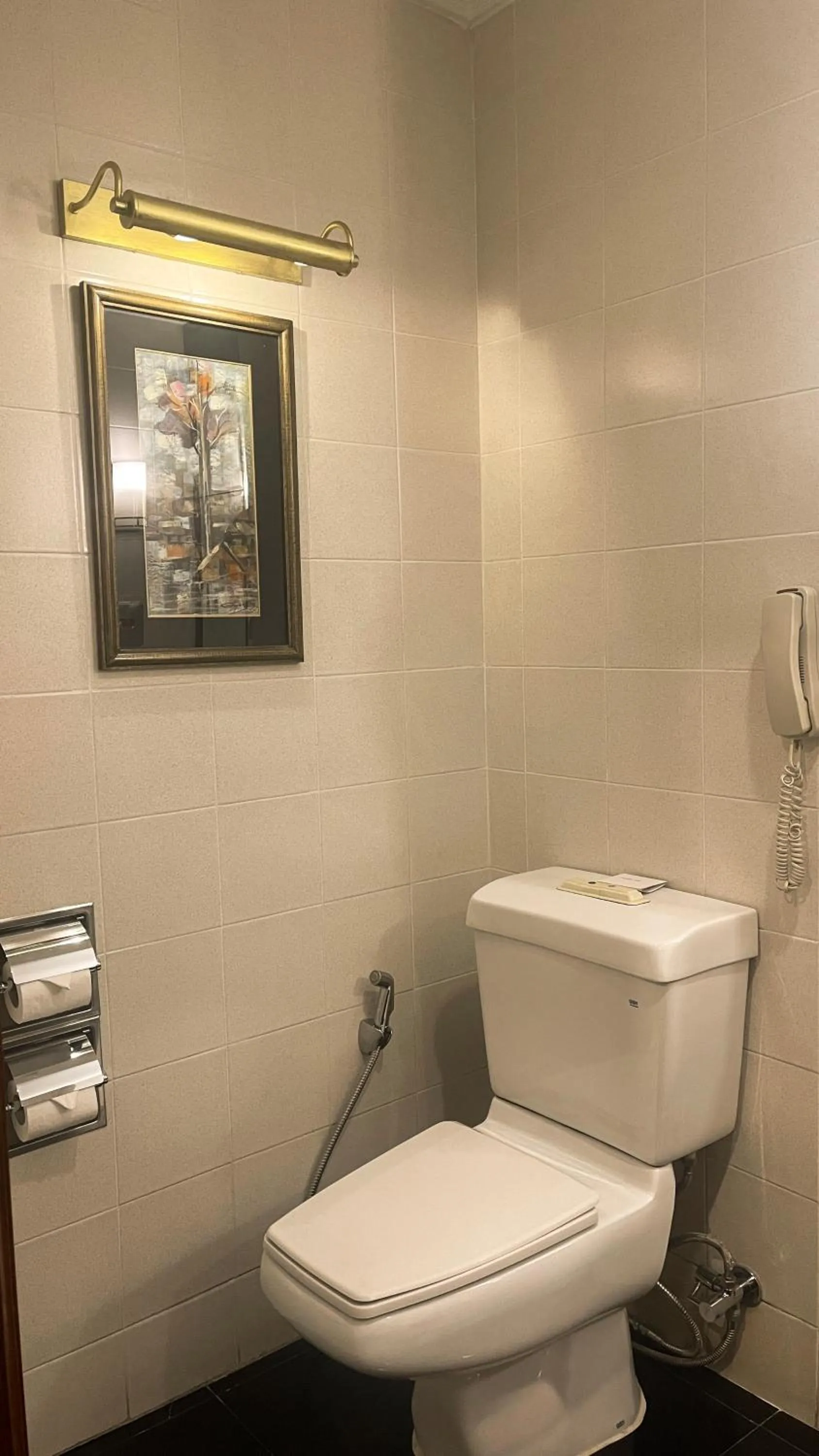 Toilet in Radisson Hotel Kathmandu