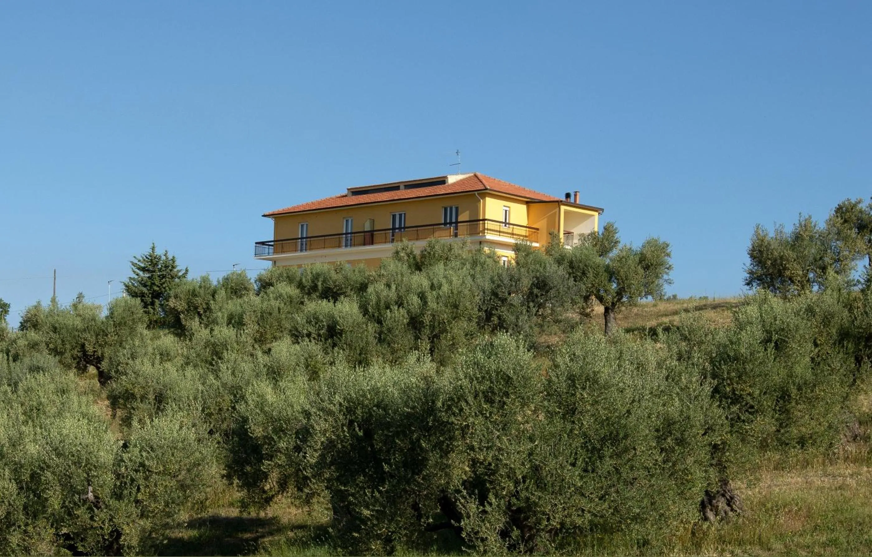 Property building in Residence Borgo Offida