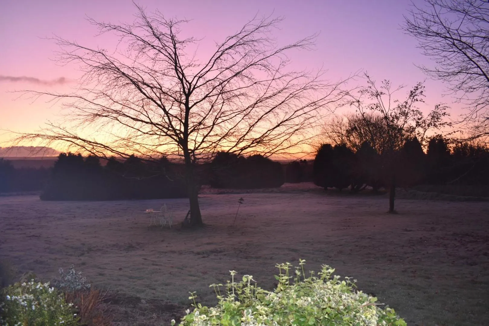 Property building in Ticketyboo Suites