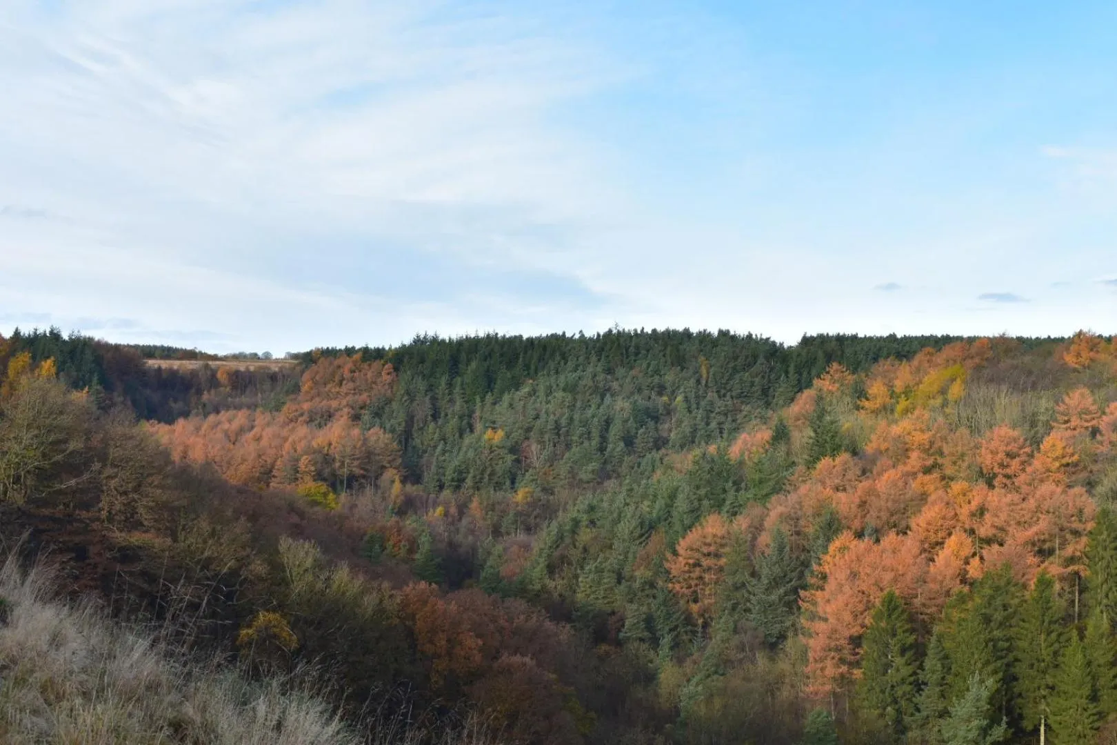 Natural landscape in Ticketyboo Suites