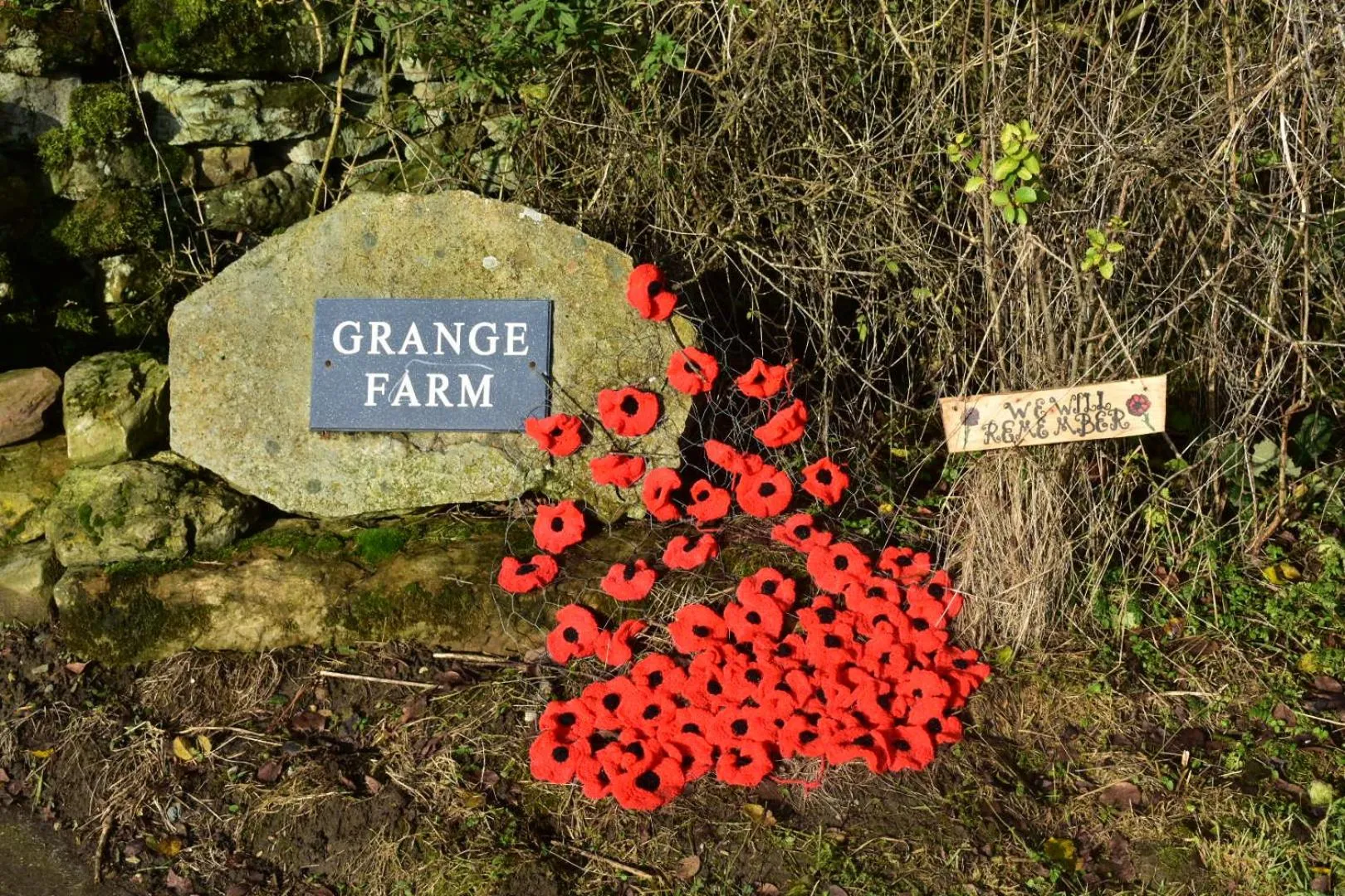 Property building in Ticketyboo Suites