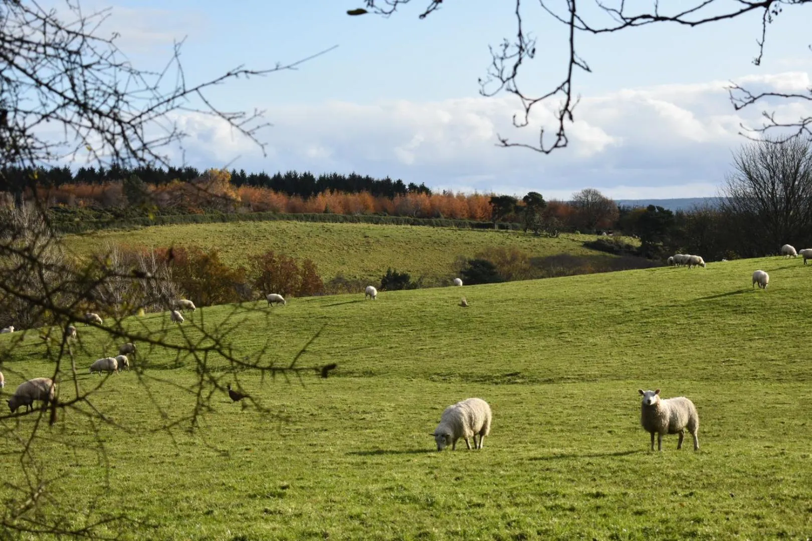 Neighbourhood in Ticketyboo Suites