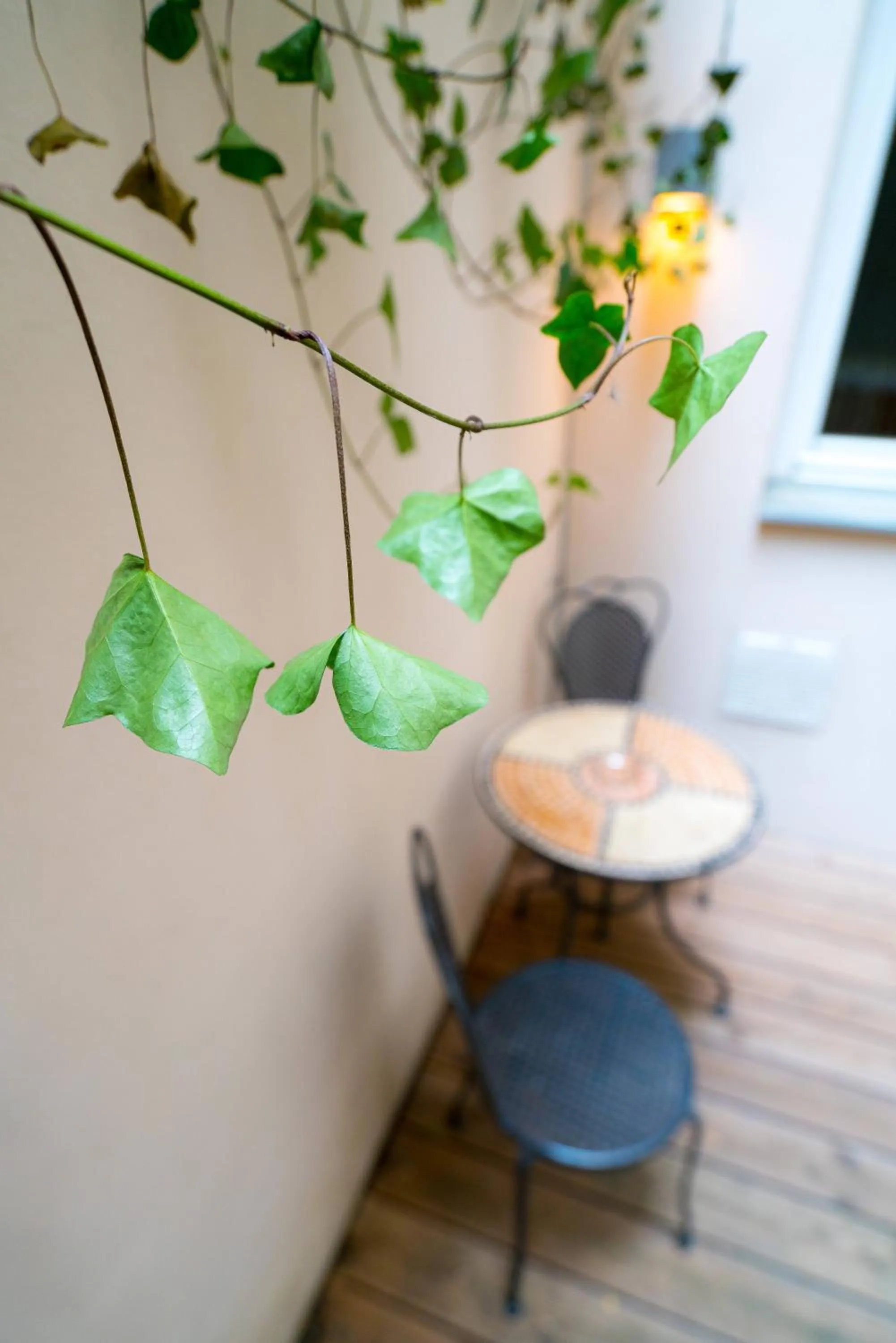 Vienna Residence, City Hall - Parliament