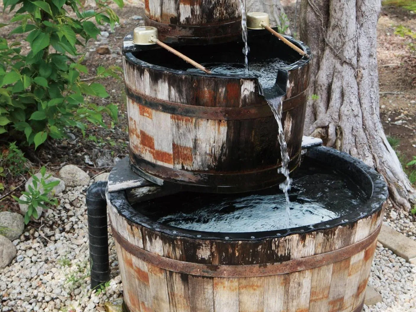 Area and facilities in Mars Garden Wood Gotenba