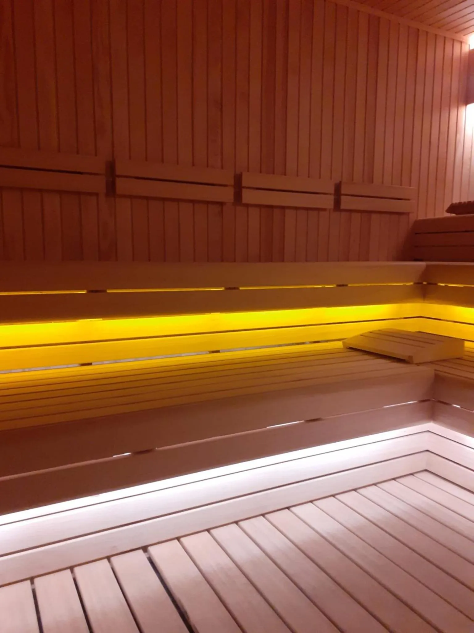 Sauna in Butterfly Butik Hotel