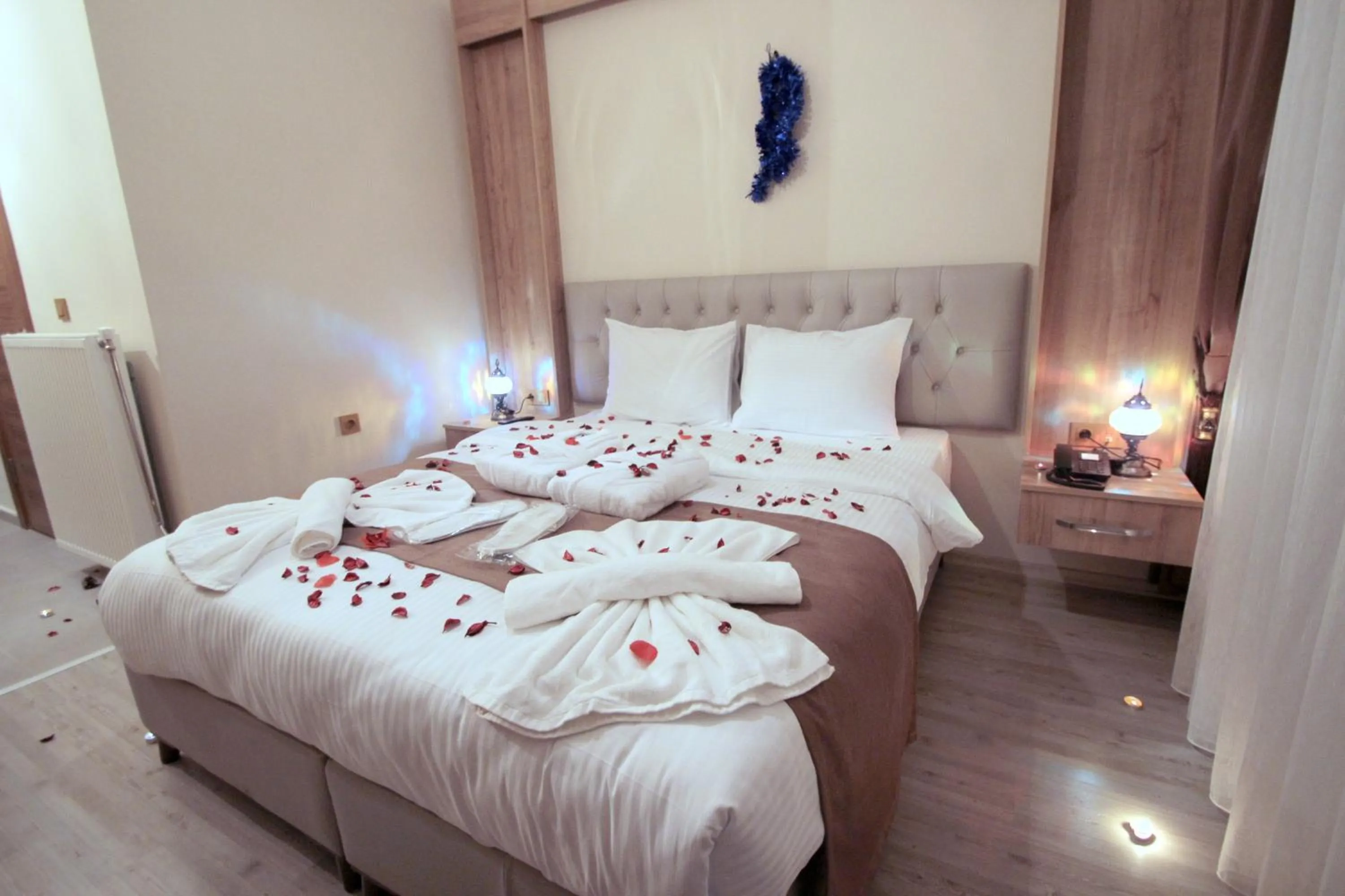 Photo of the whole room in Butterfly Butik Hotel