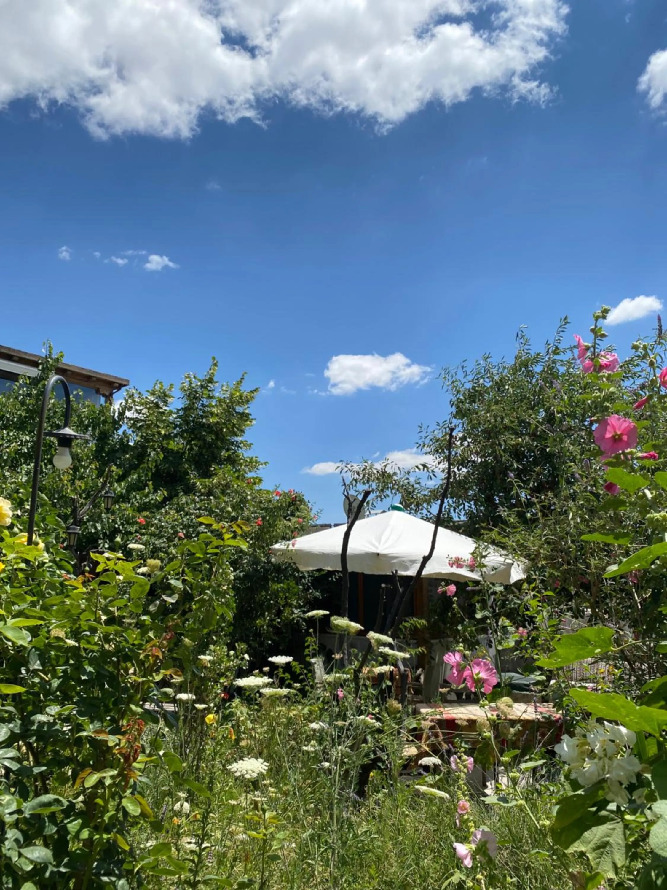 Spring in Kemal's Guest House