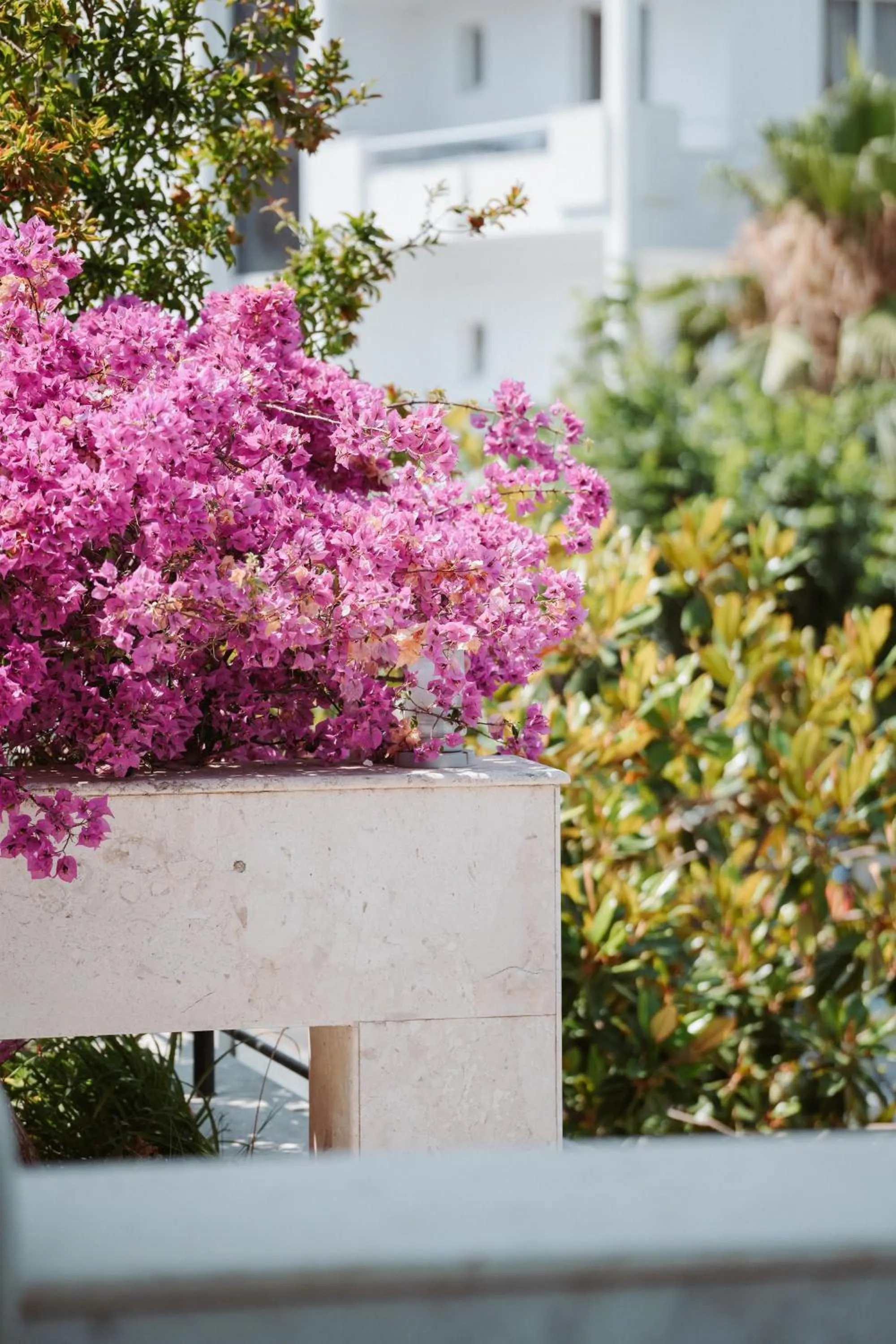 Property building in Hotel Agimi