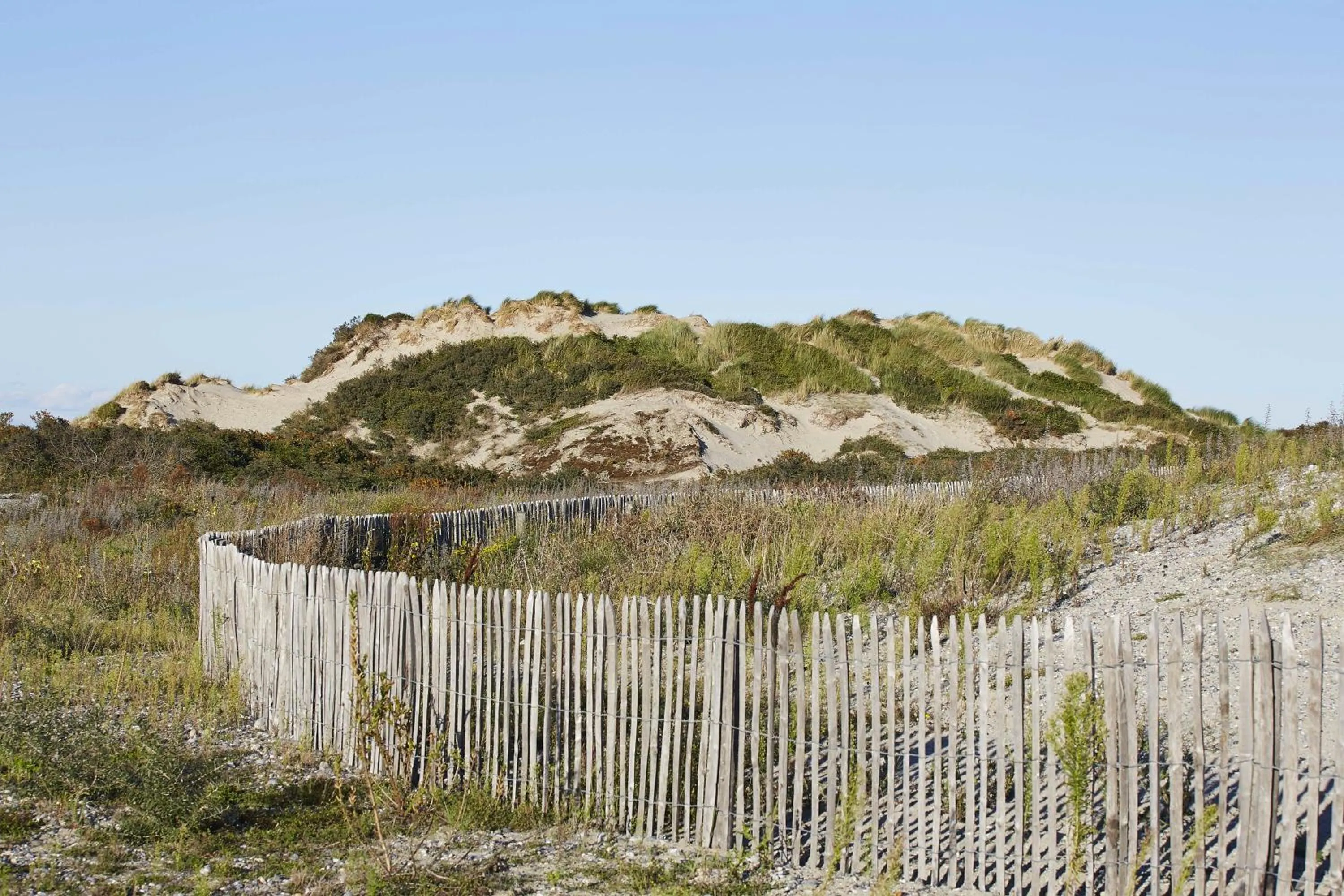 Day in Appart'Hôtel de Paris