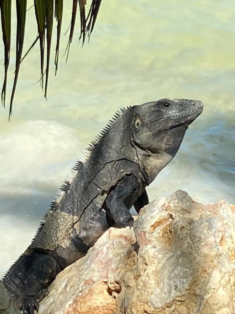 Casa Hridaya Hotel Boutique