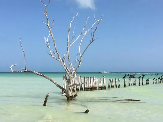 Casa Hridaya Hotel Boutique