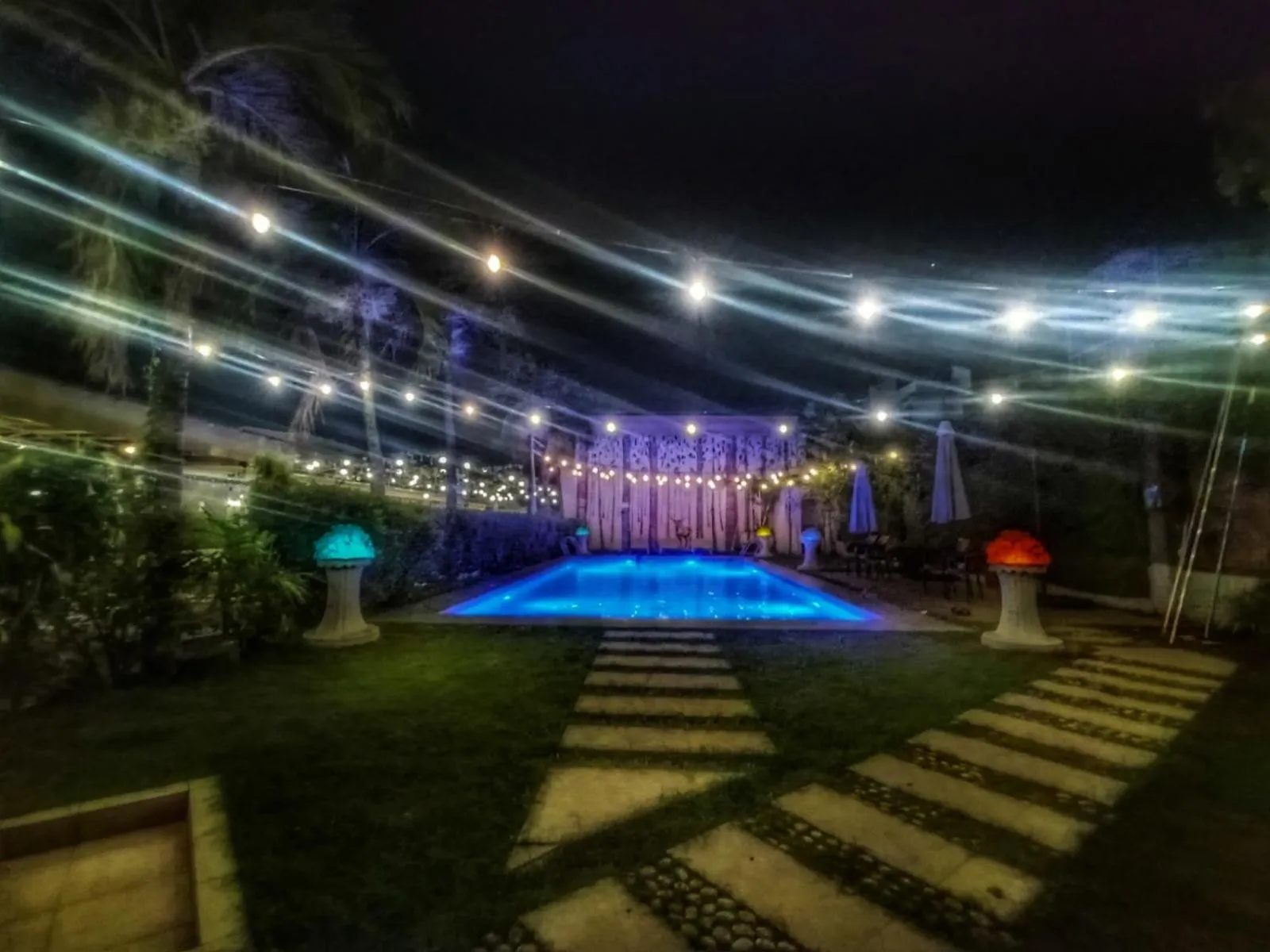 Night in S and M Hotel Inc.