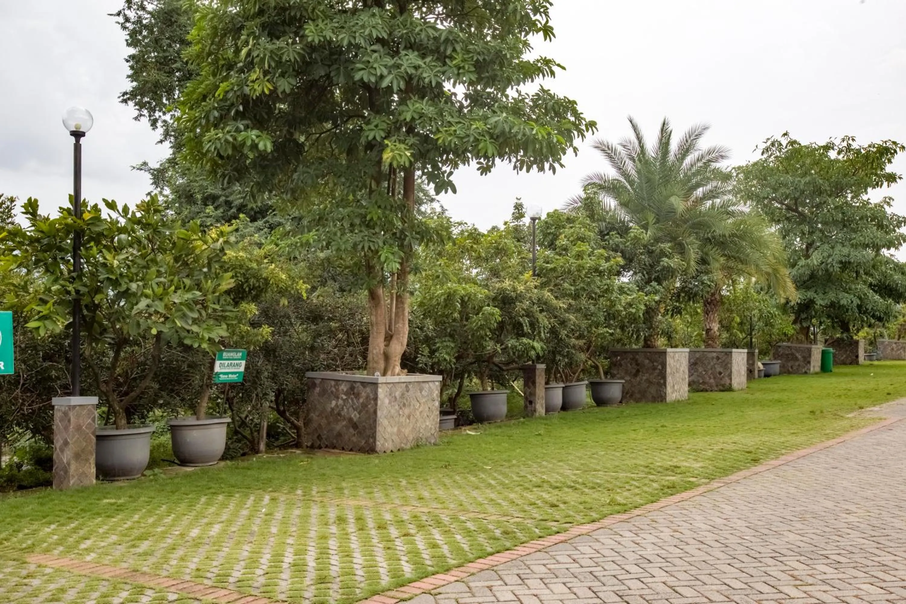 Garden in RedDoorz Plus @ Purwodadi