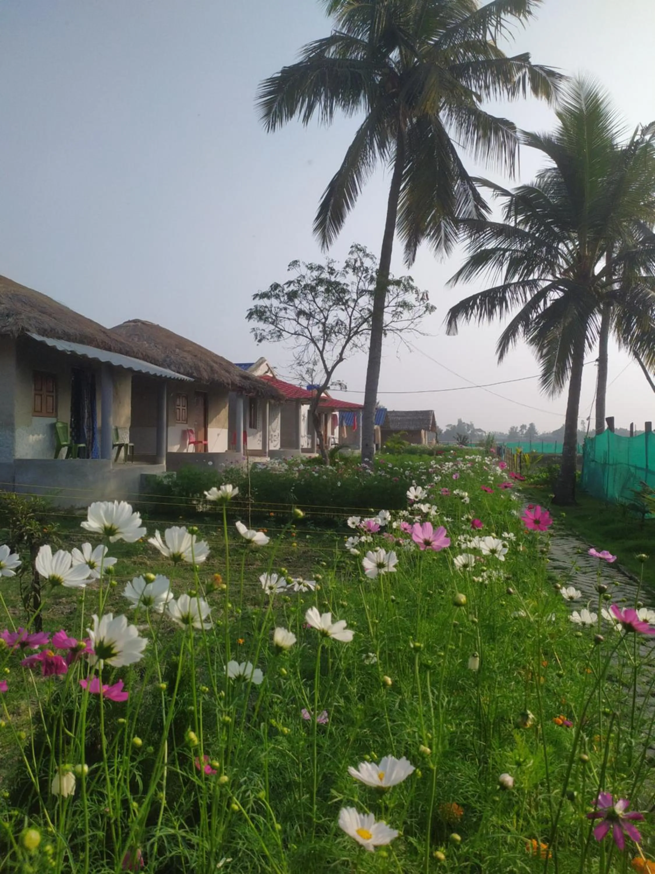 sundarban jungle mahal resort