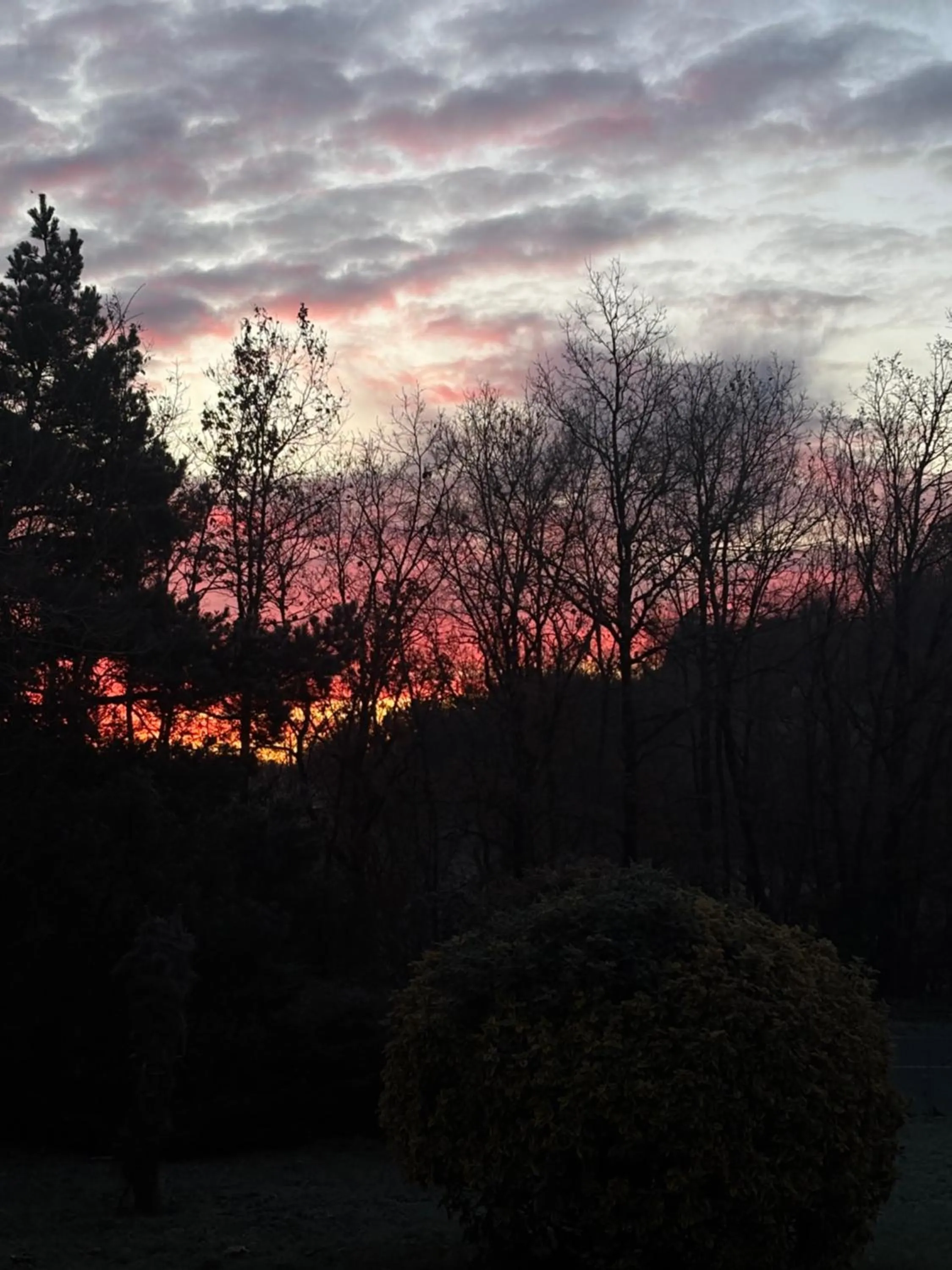 Logis Hôtel La Ferme de Flaran