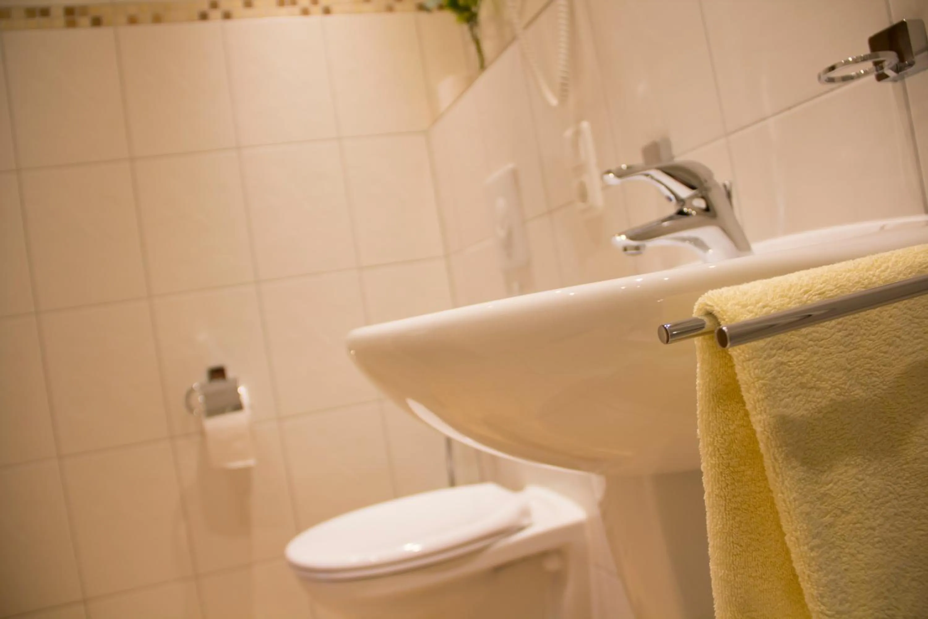 Toilet in Hotel Restaurant Zur Neroburg