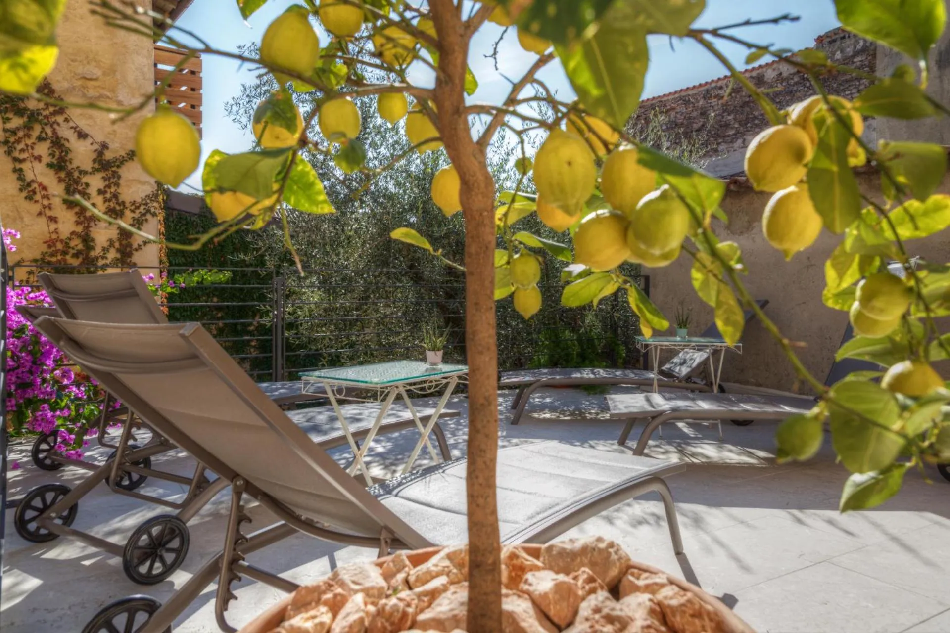 Garden in Corte Alma Spa and Luxury Home