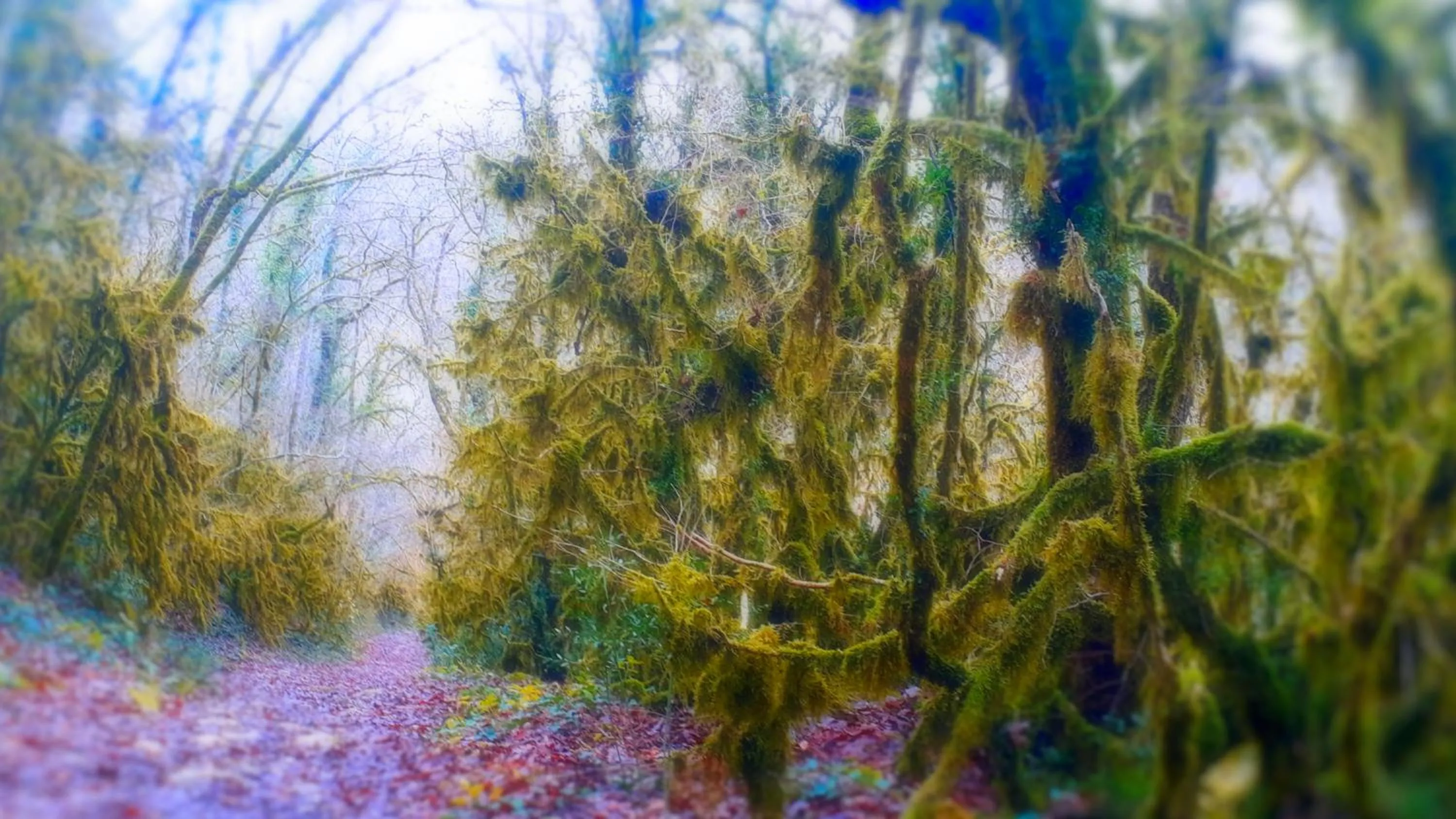 Le Petit Coin de Charme